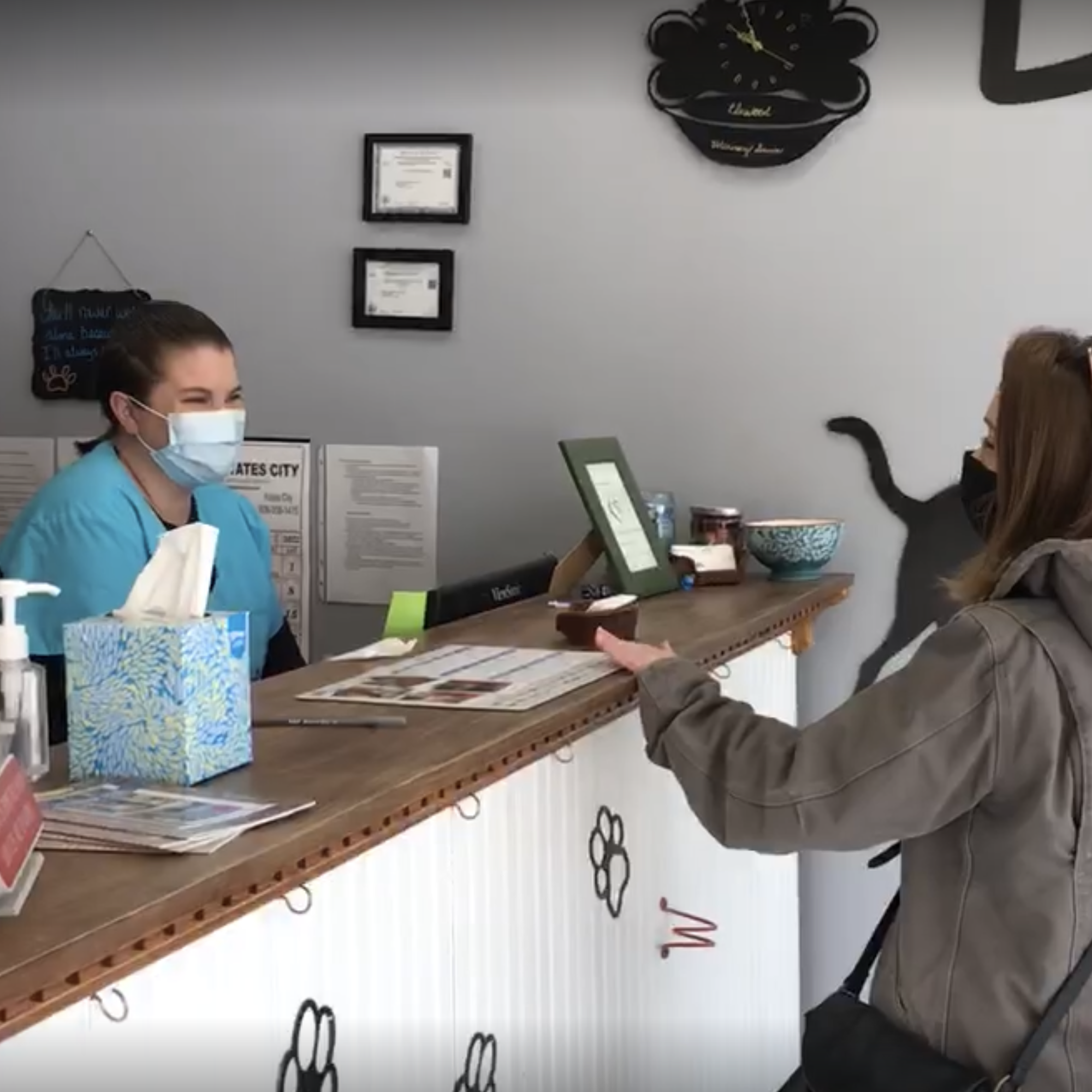 Wags and Whiskers Veterinary Service Elmwood