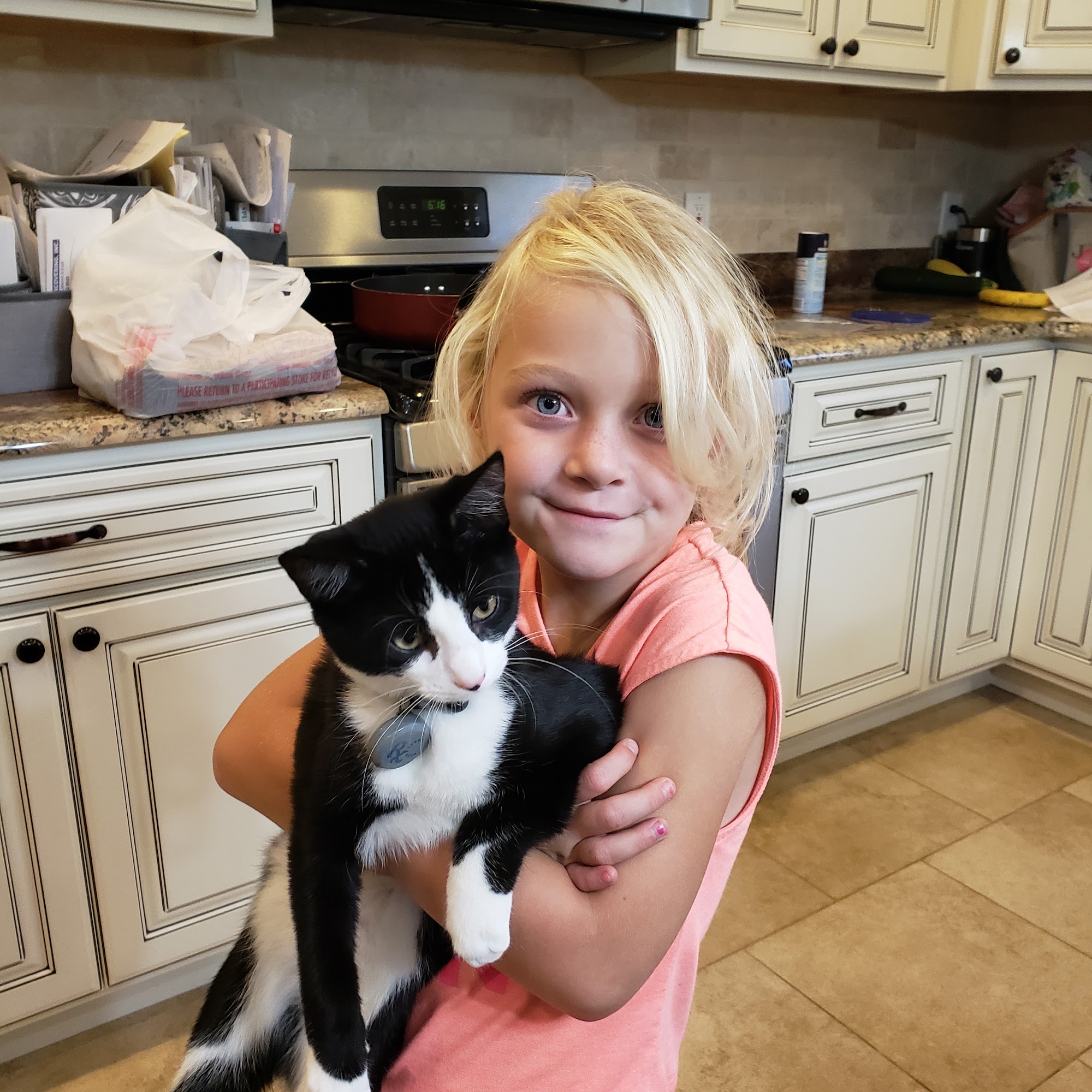 Wags and Whiskers Veterinary Service