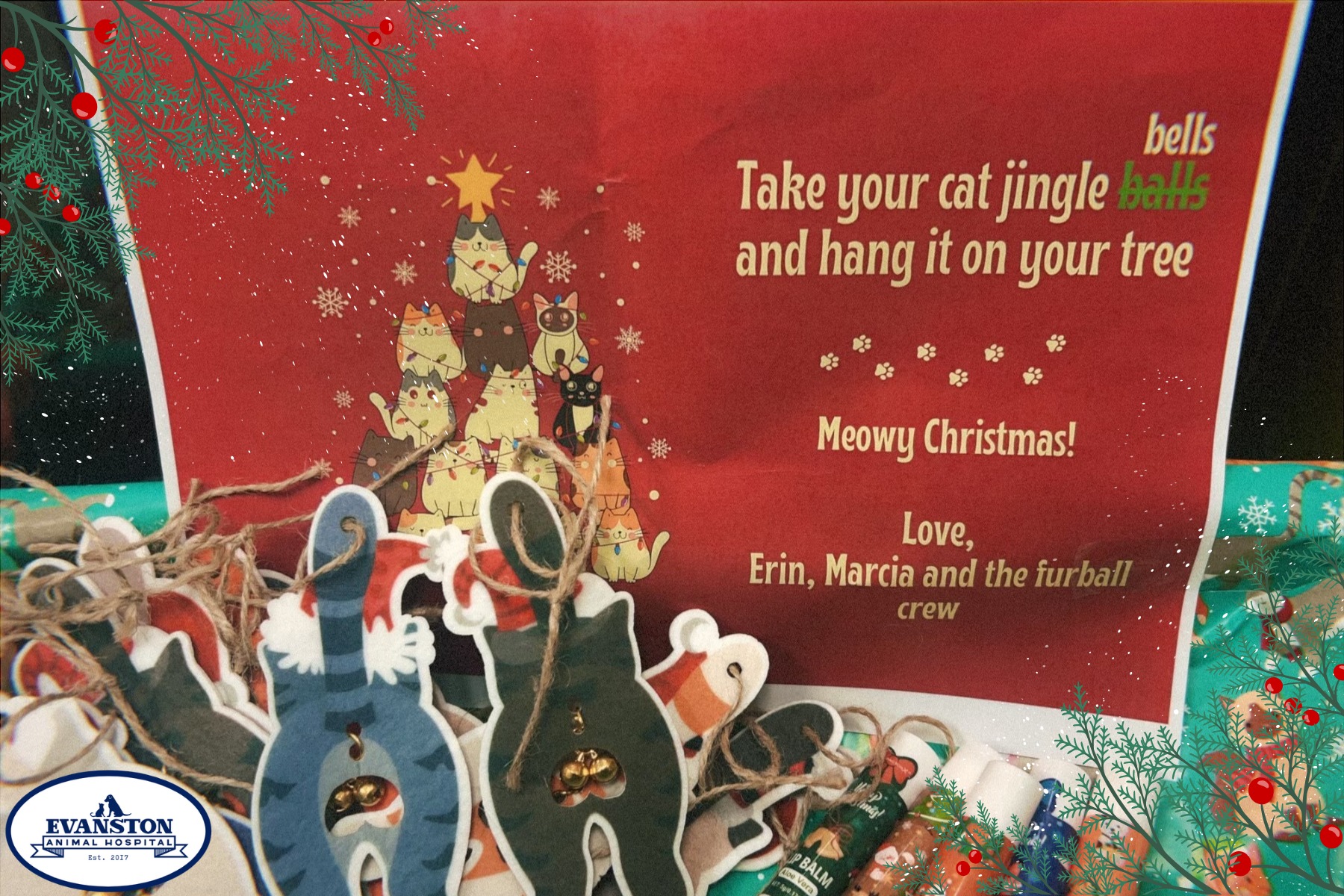 Evanston Animal Hospital Evanston