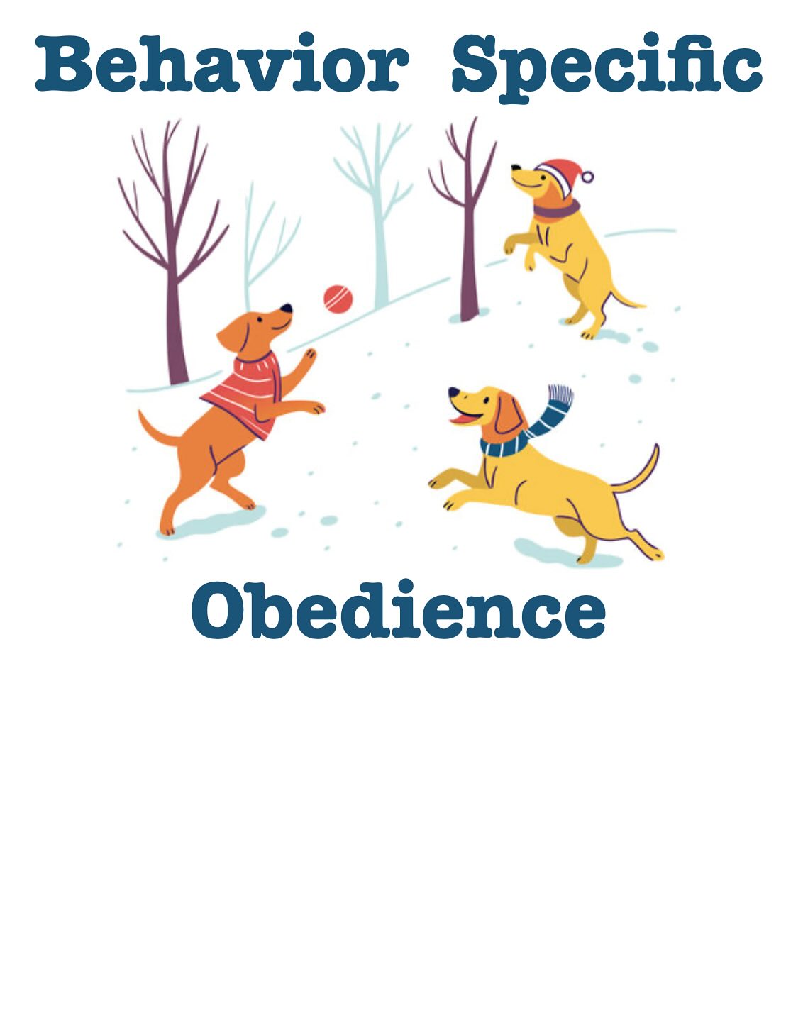 Unleashed Academy Evanston