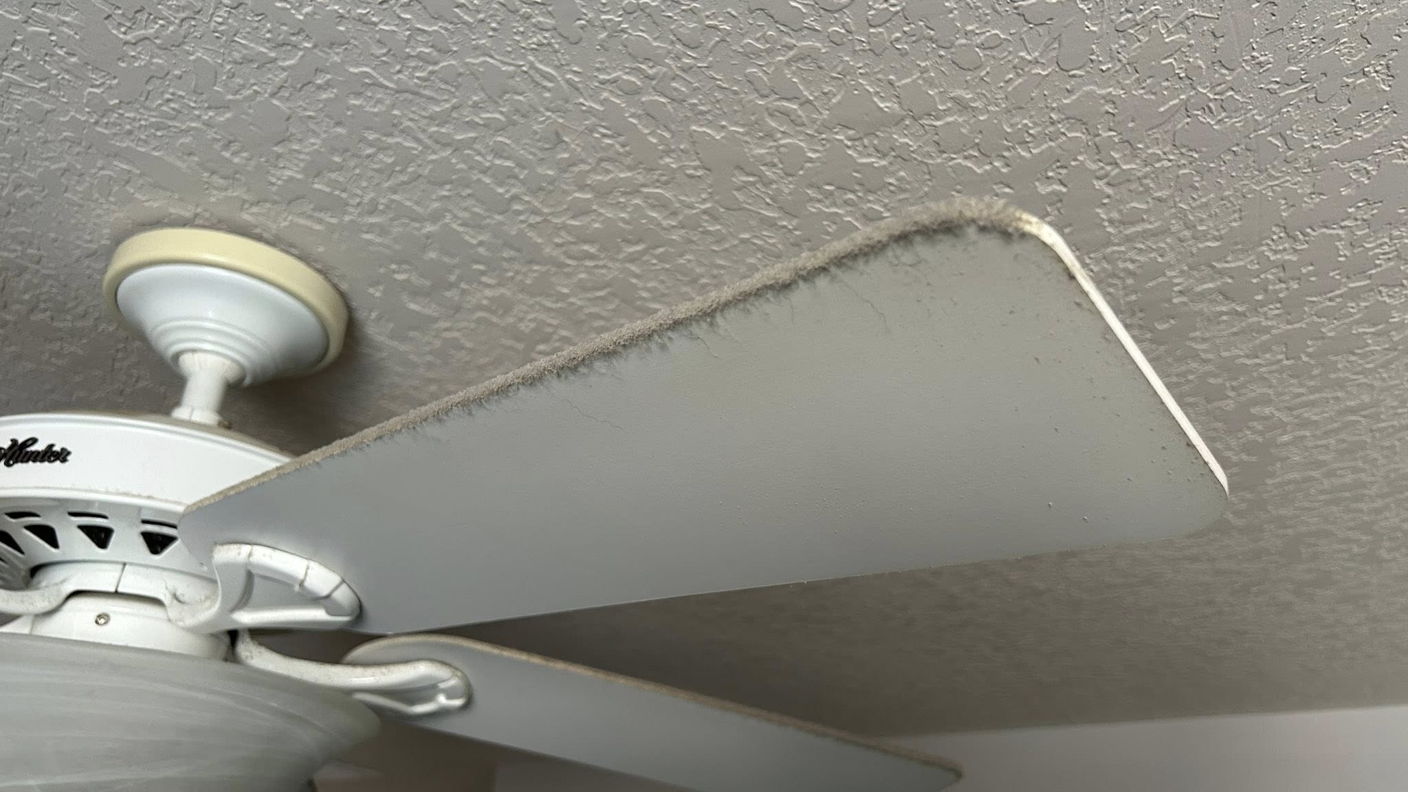 EMPIRE House Cleaning Services & Professional Cleaning Company