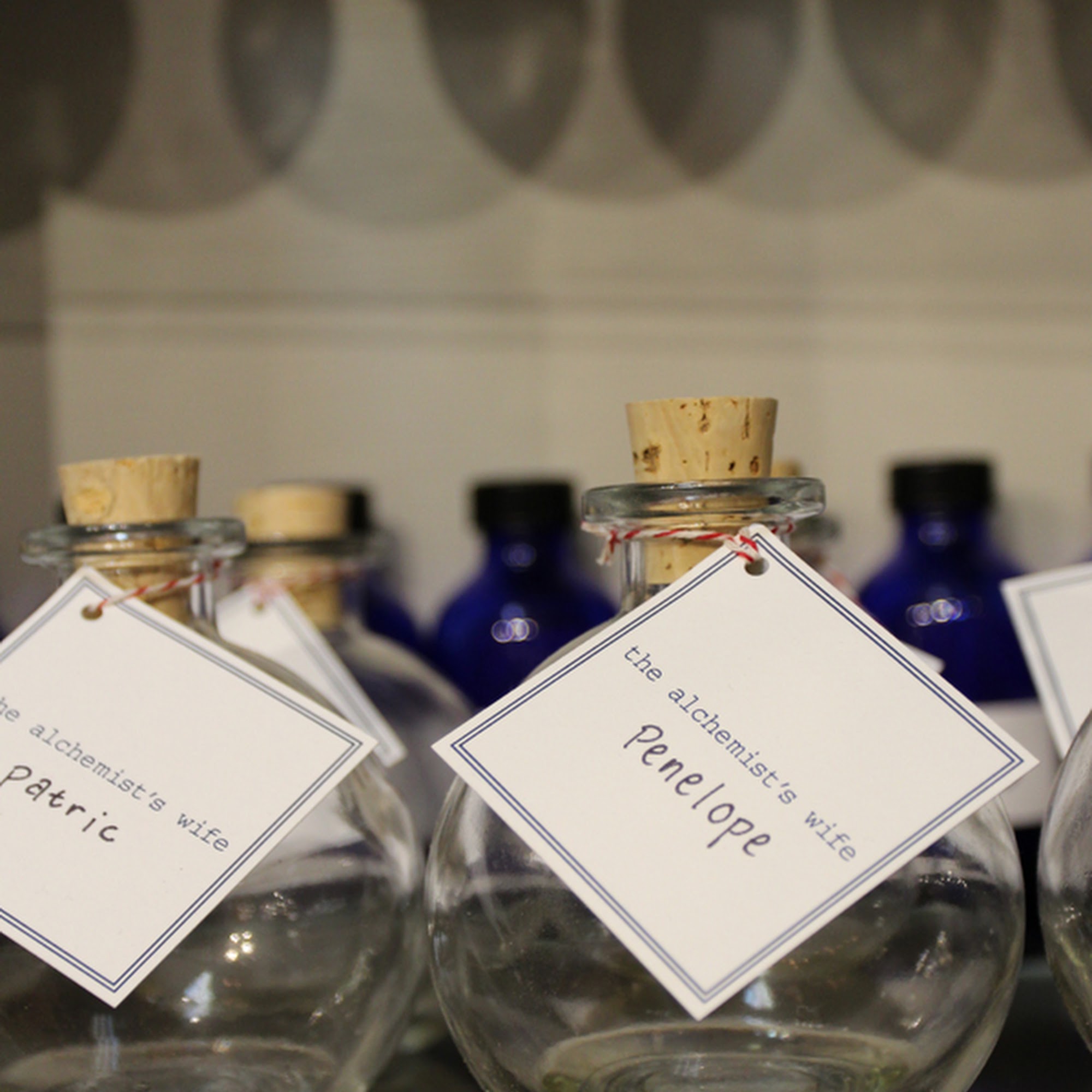 The Alchemist's Wife Evanston