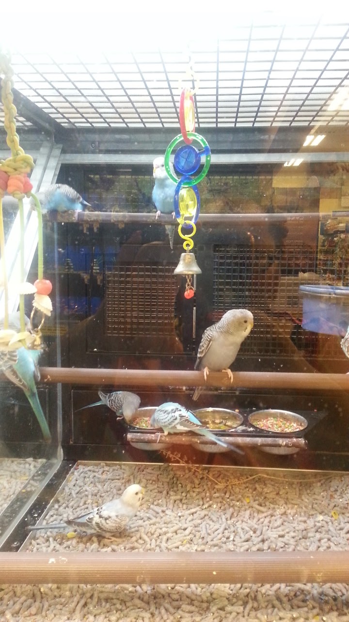 PetSmart Evergreen Park