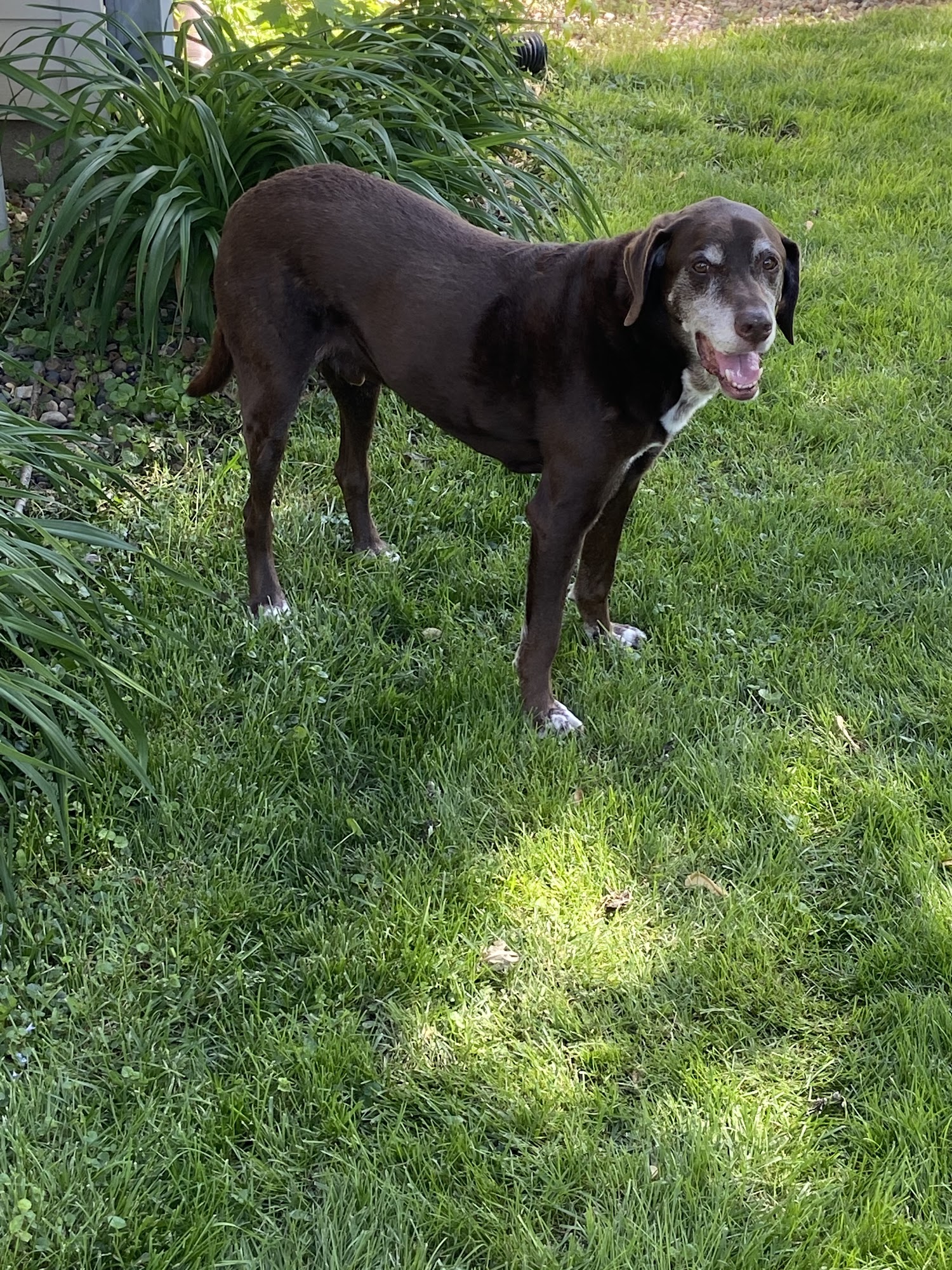 Fairbury Veterinary Hospital Fairbury