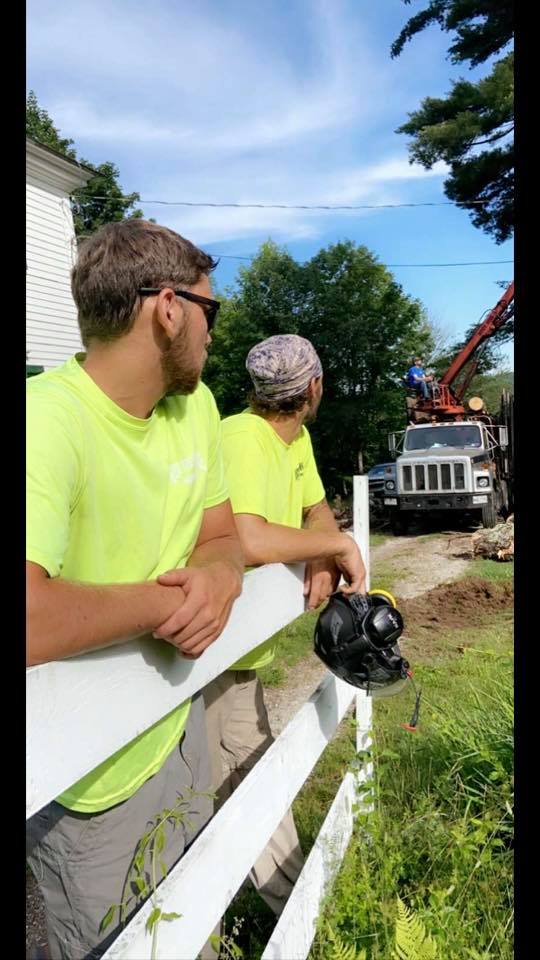 Rice Tree Services