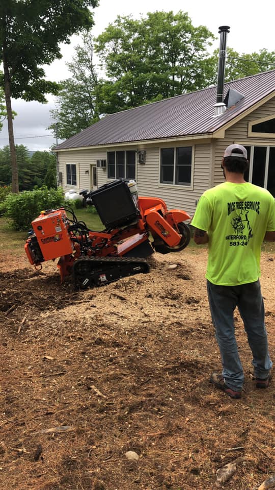 Rice Tree Services