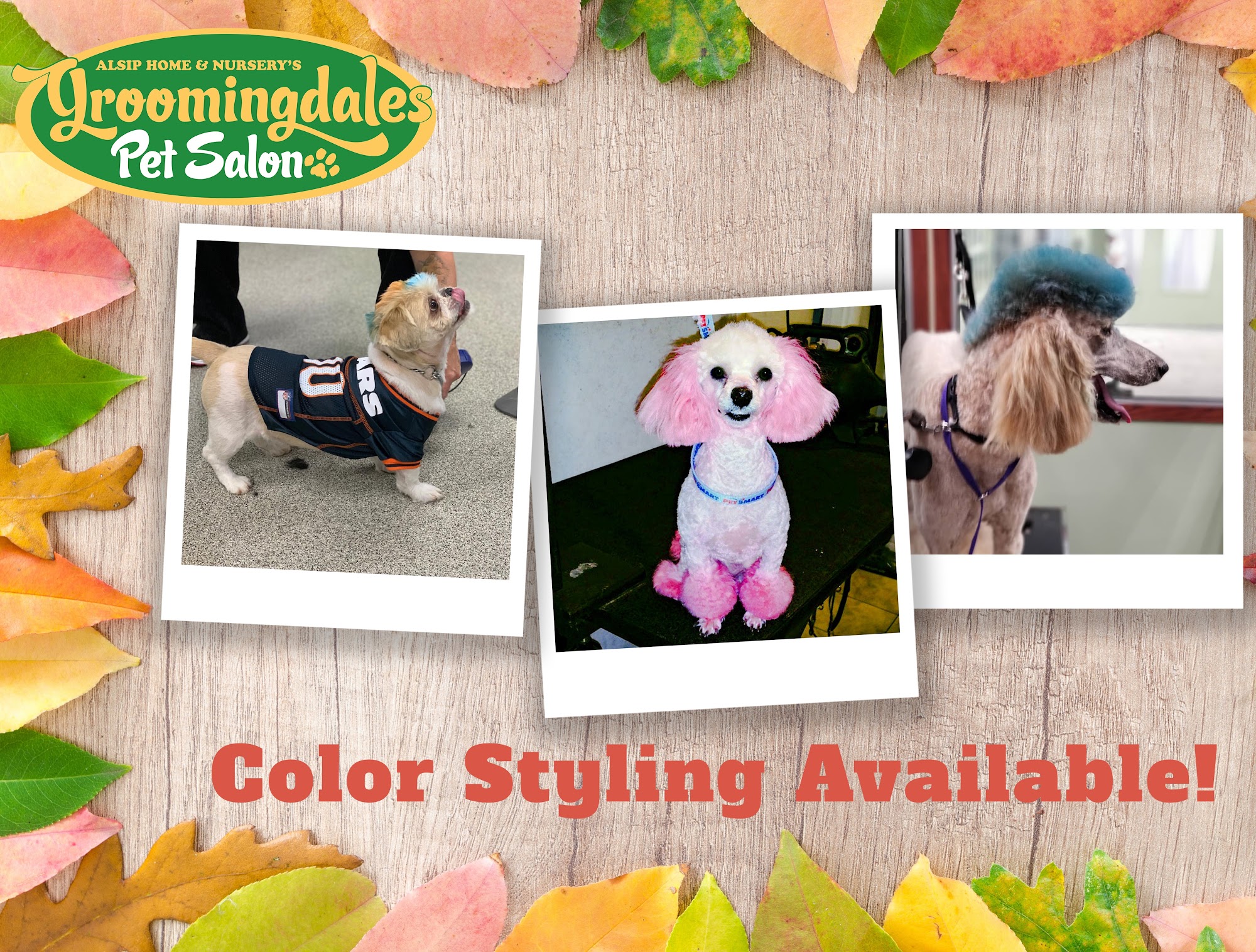 Groomingdales Pet Salon at Alsip Home & Nursery Frankfort