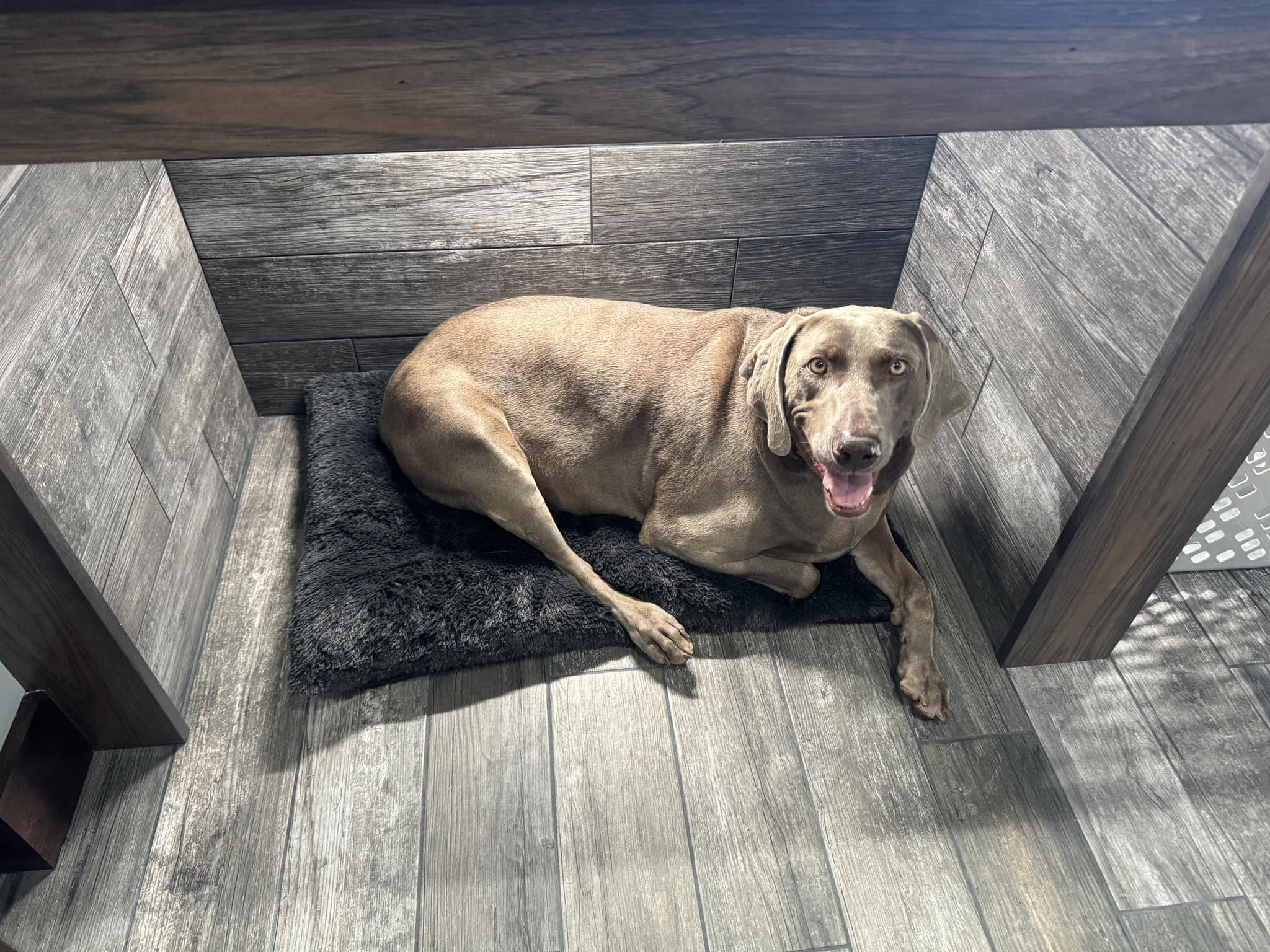 TBL Construction Inc