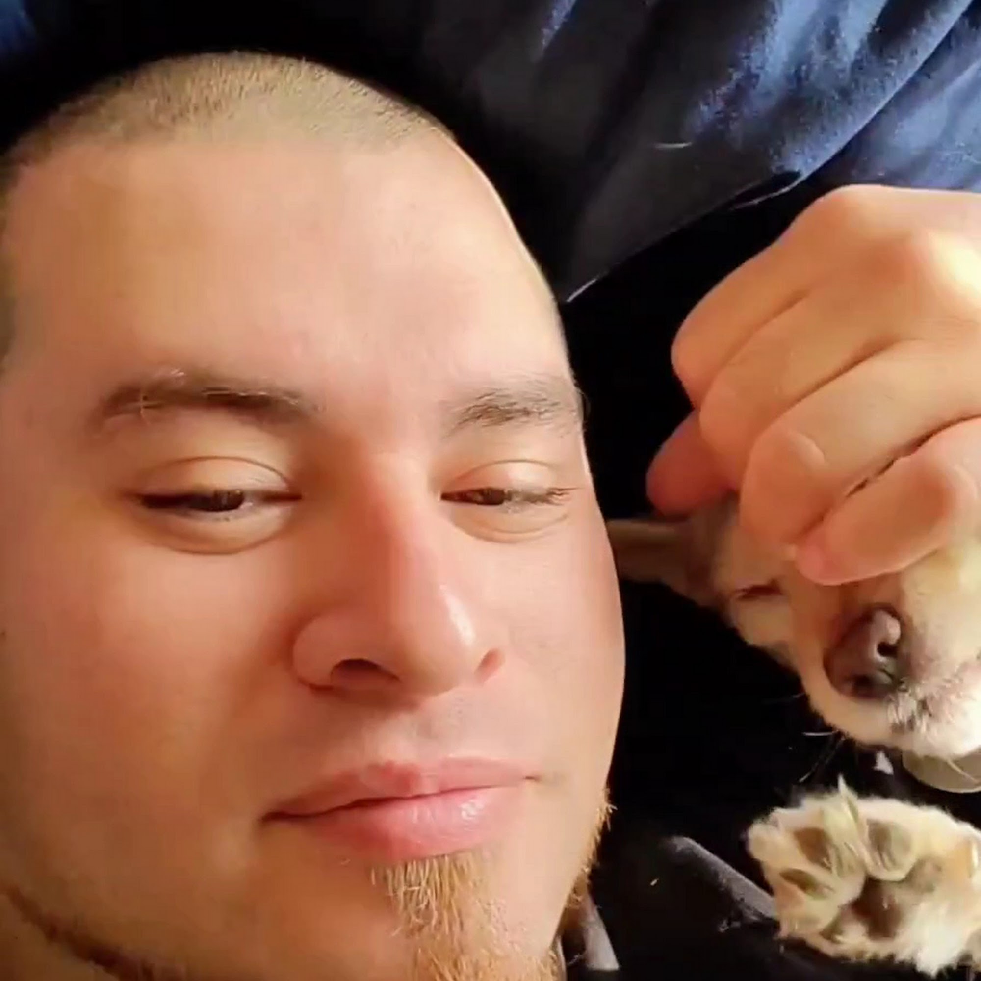 Mom's Pet Grooming Shop Franklin Park