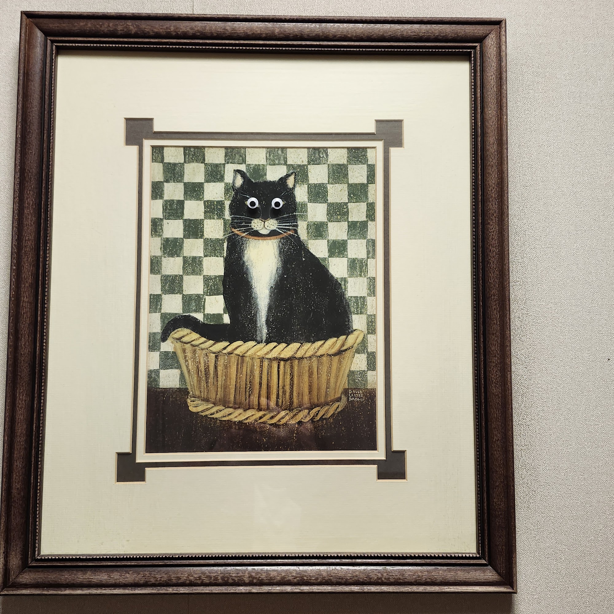 Tender Loving Care Animal Hospital Freeport