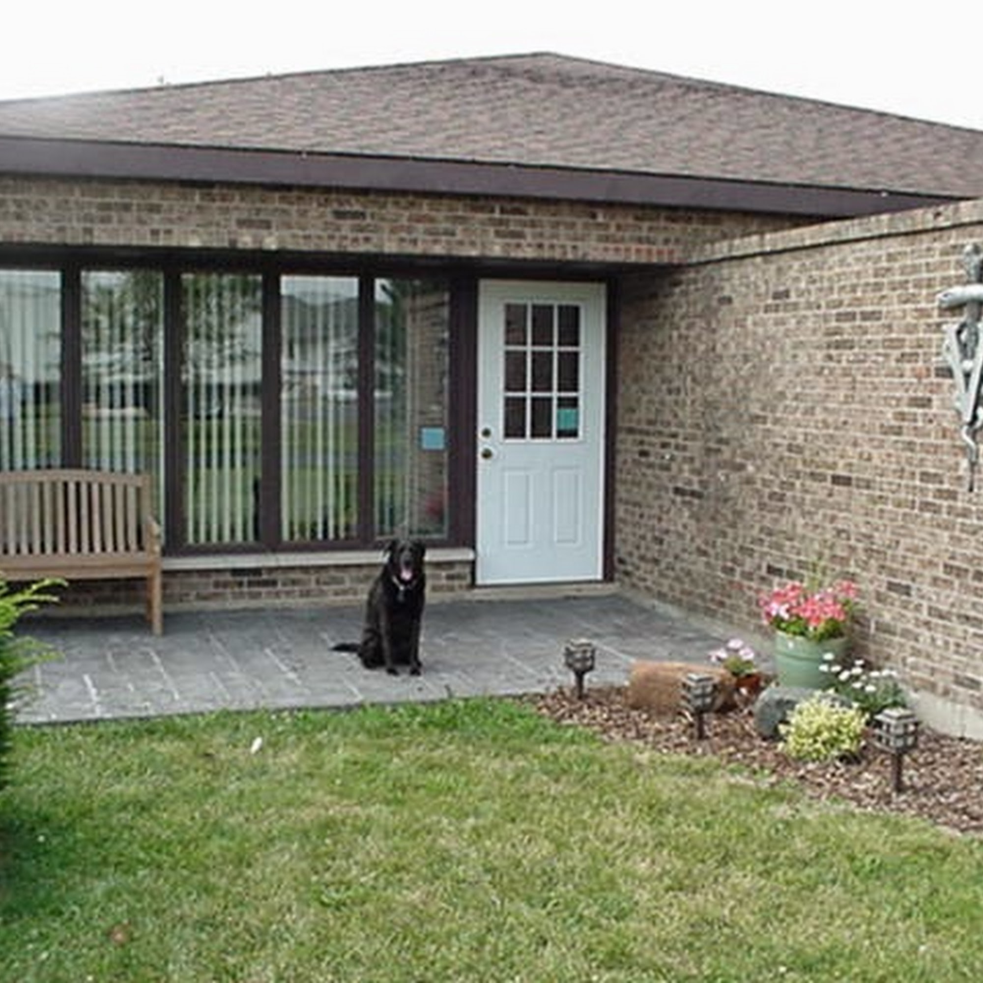 Meadow View Veterinary Clinic Geneva