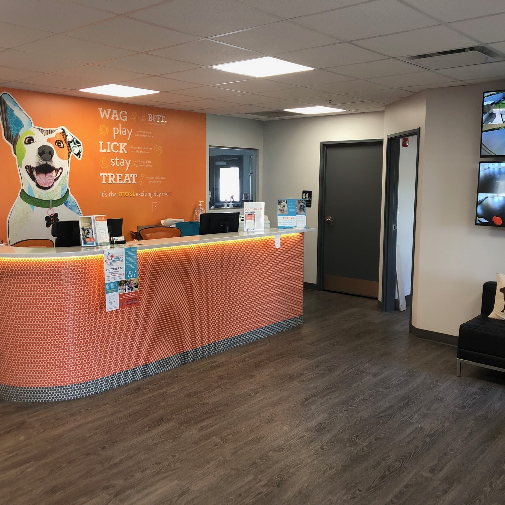 Dogtopia Geneva Geneva