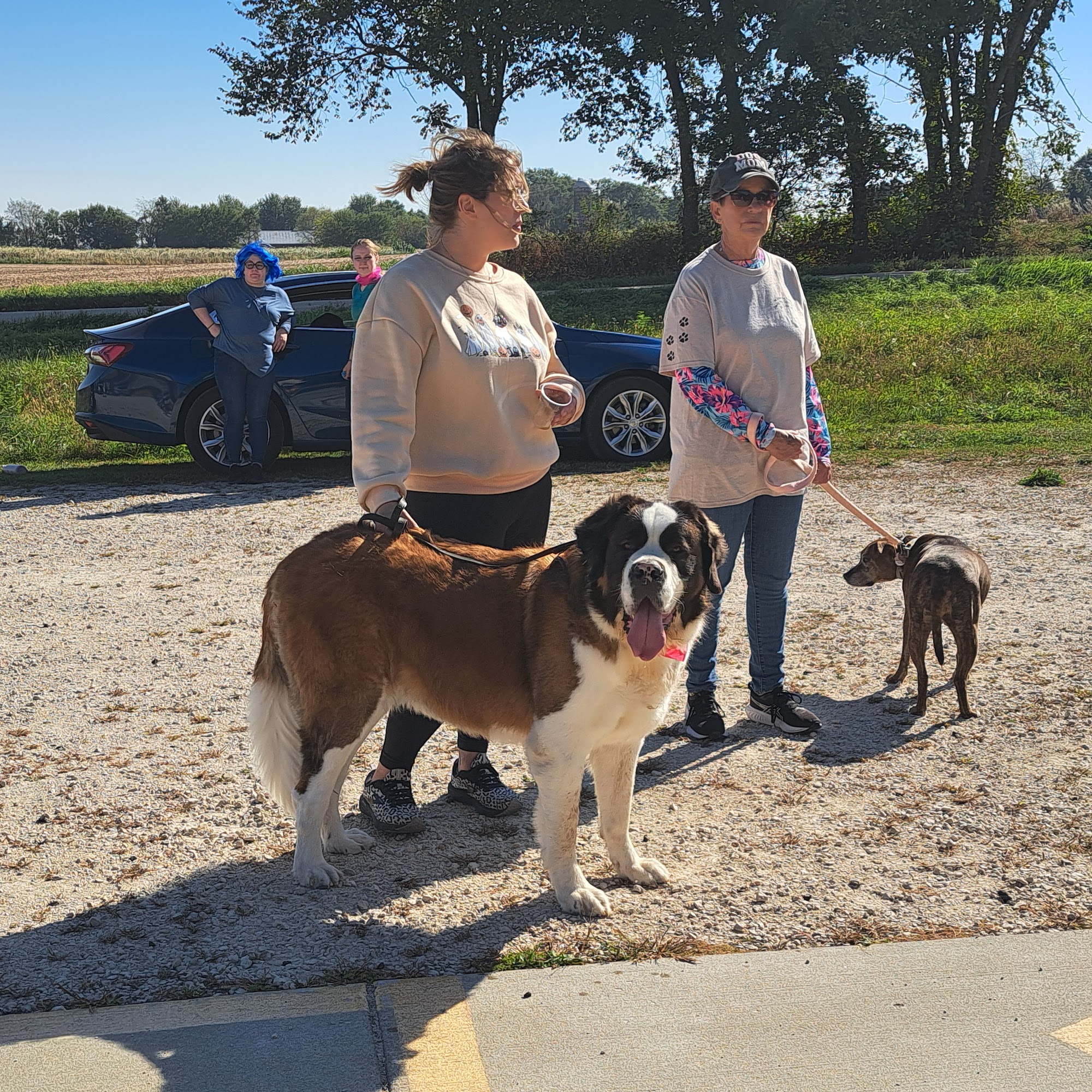 The Barn on Baseline Animal Shelter and Adoption C Genoa