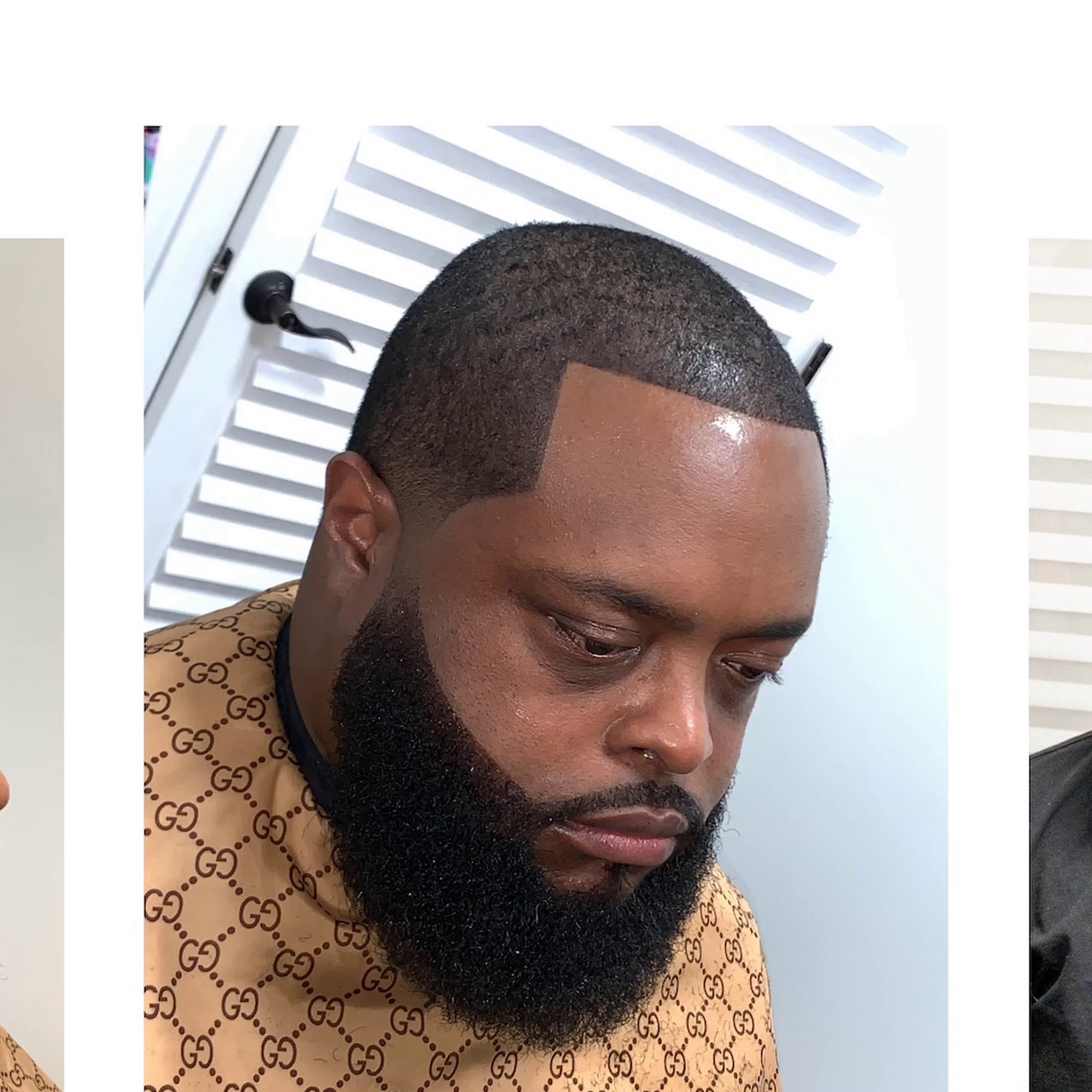 Dion The Groomer 930 Roosevelt Rd Suite 109, Glen Ellyn Illinois 60137