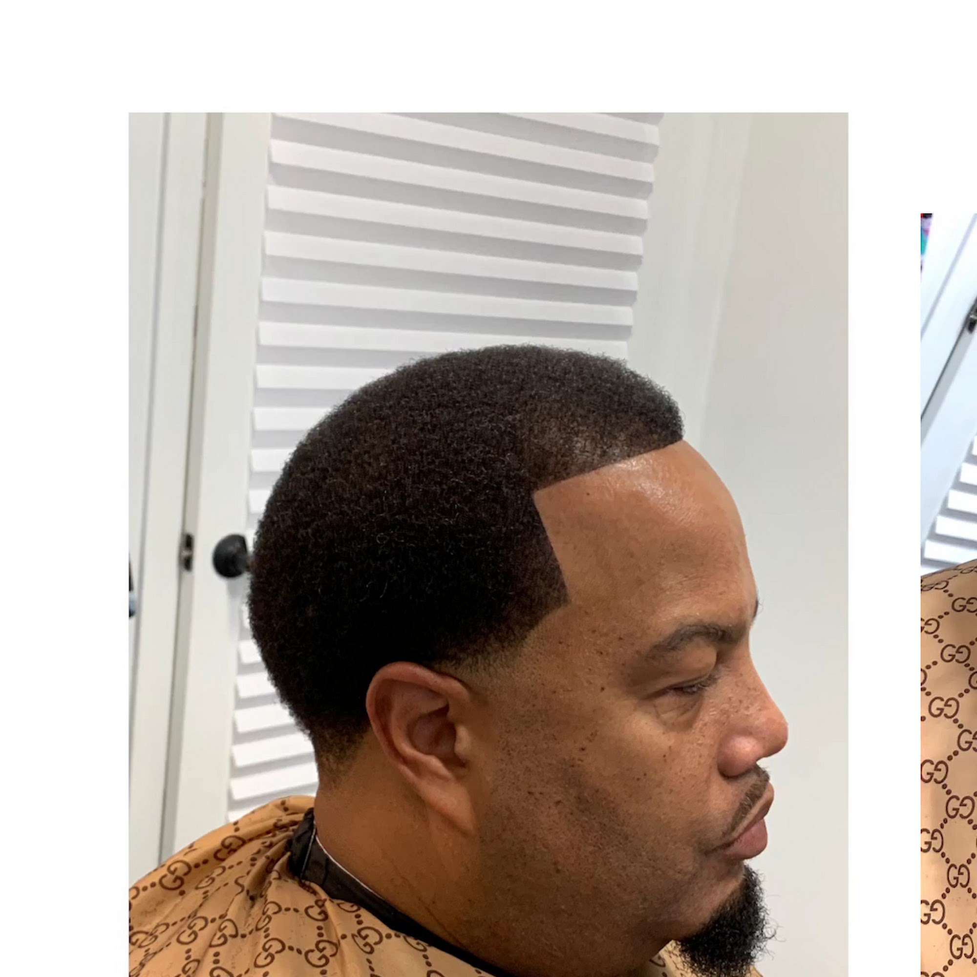 Dion The Groomer 930 Roosevelt Rd Suite 109, Glen Ellyn Illinois 60137