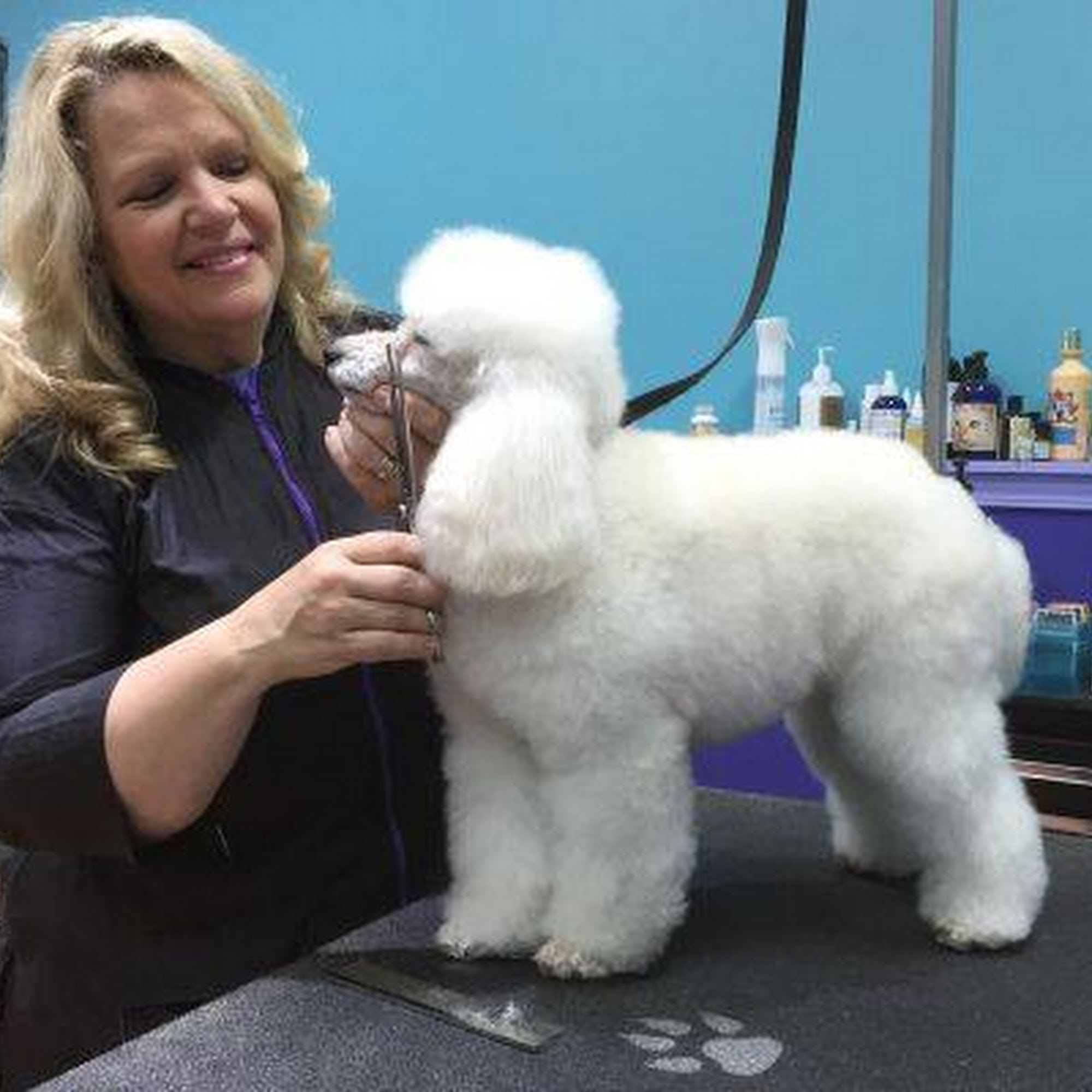 Love Fur Dogs Glencoe