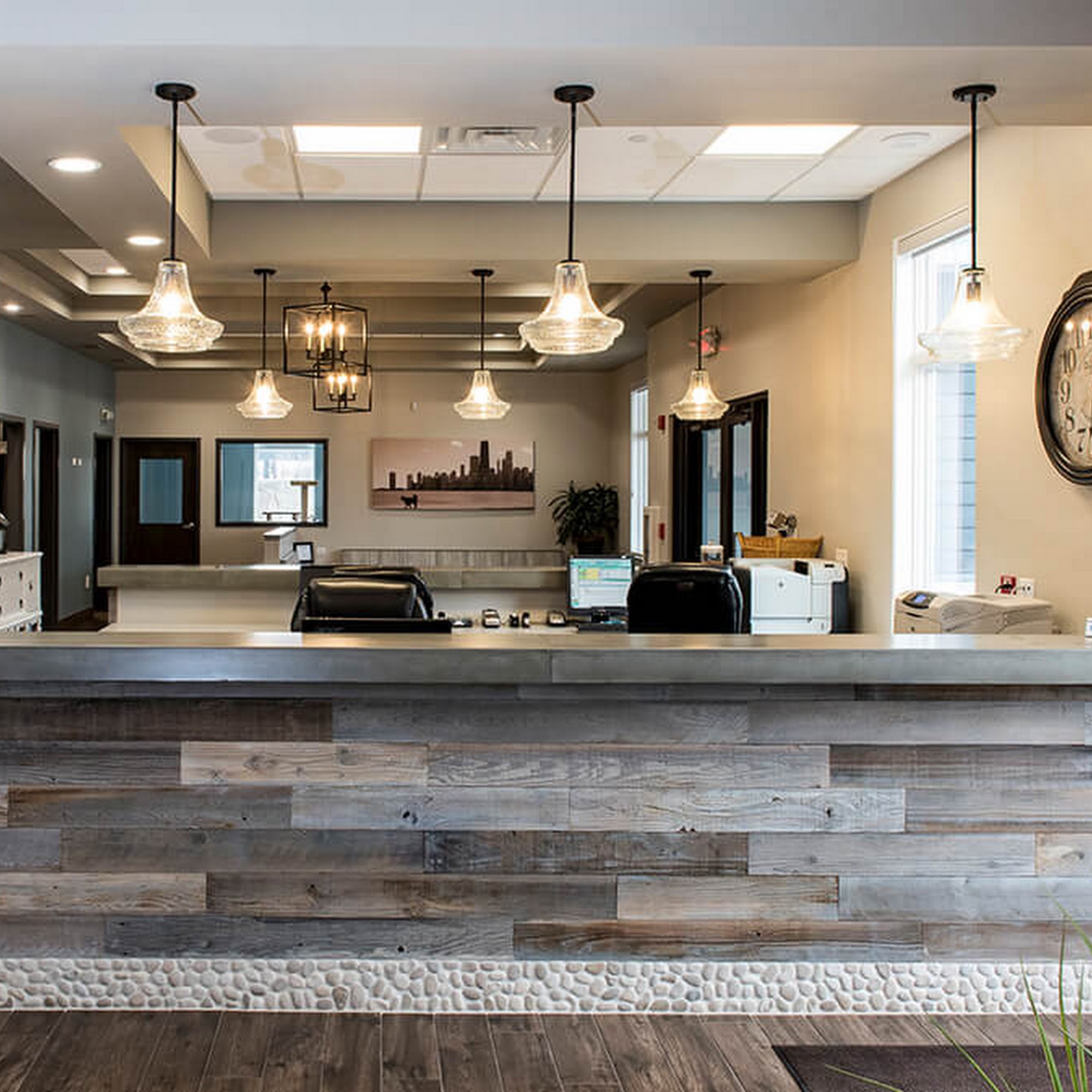 Glendale Animal Hospital Glendale Heights