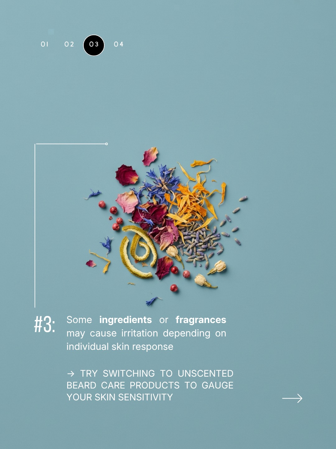 Beard Guyz Glendale Heights