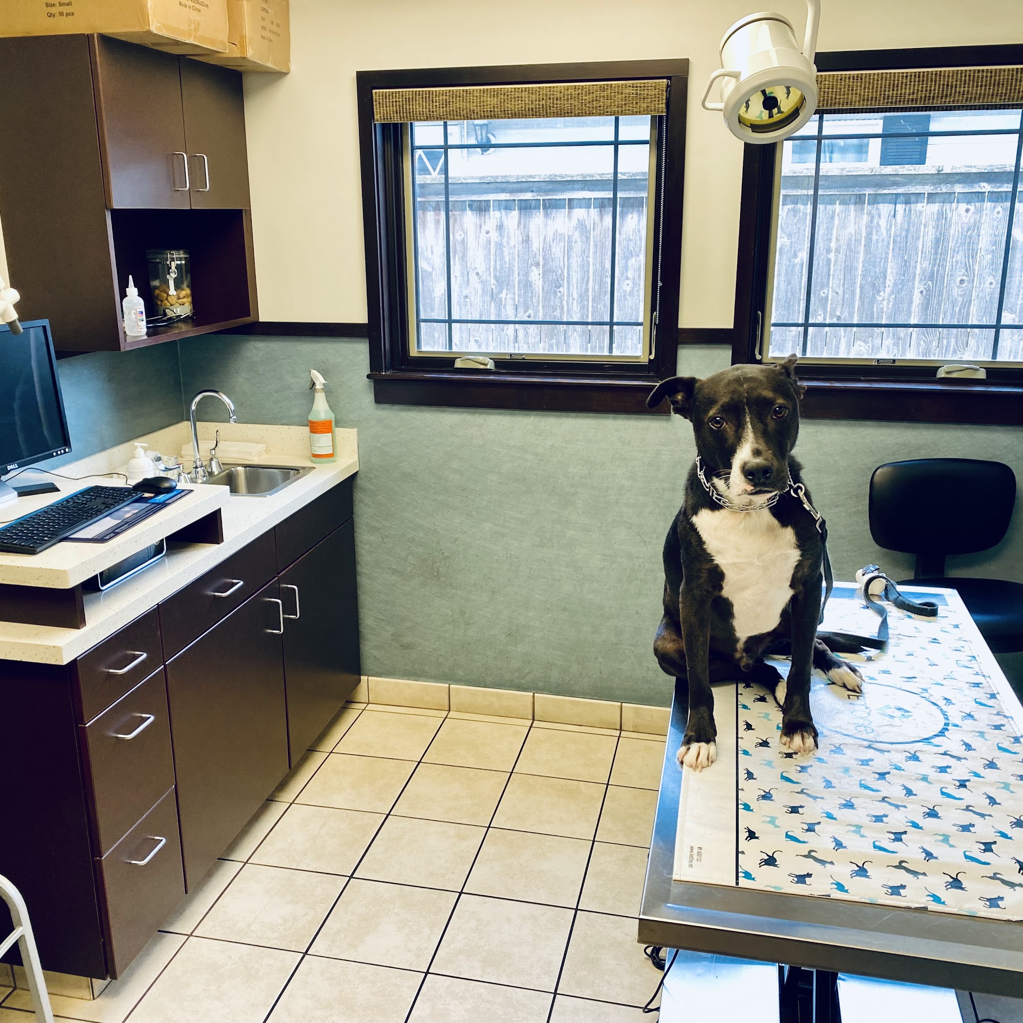 Glenview Animal Hospital Glenview