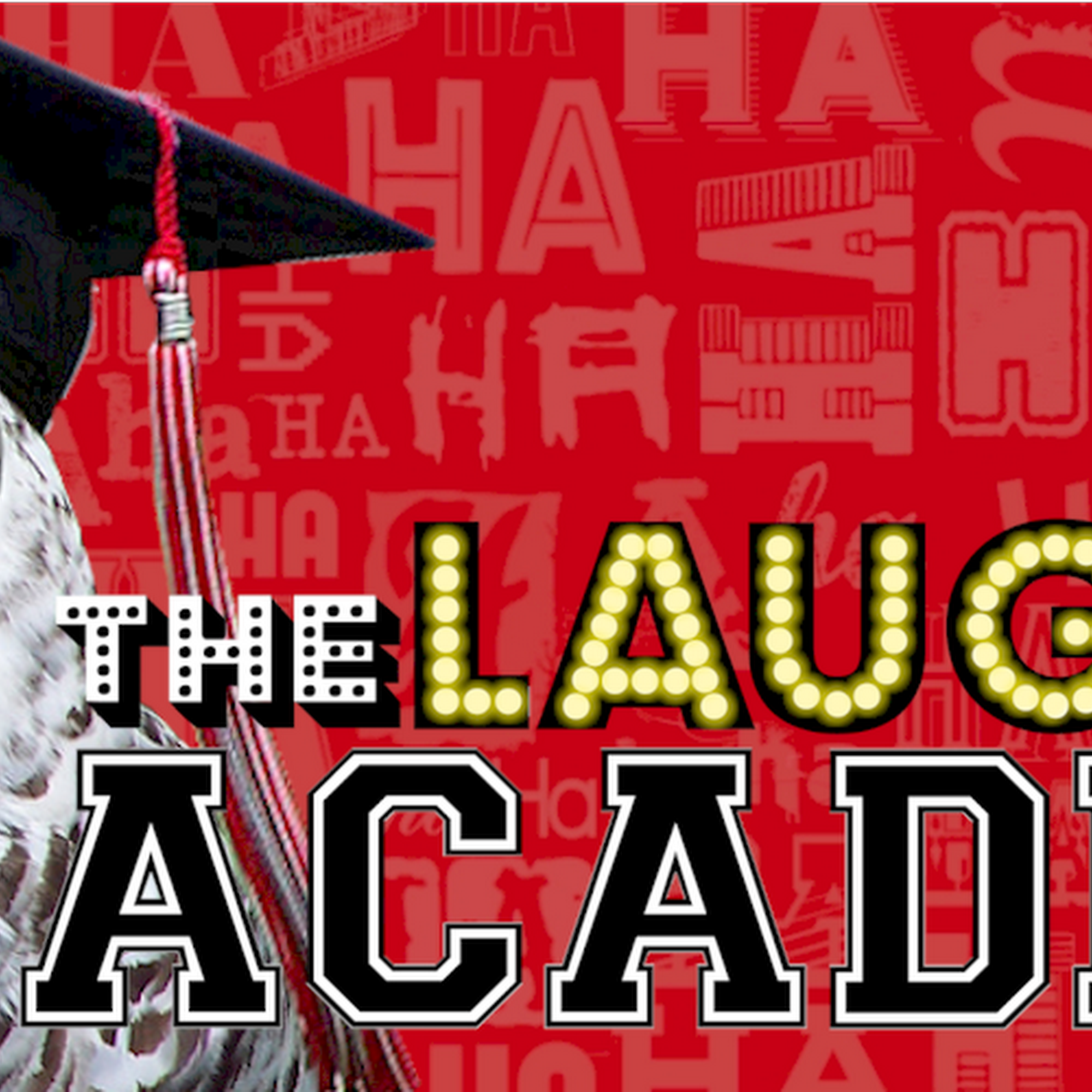 The Laughing Academy Glenview