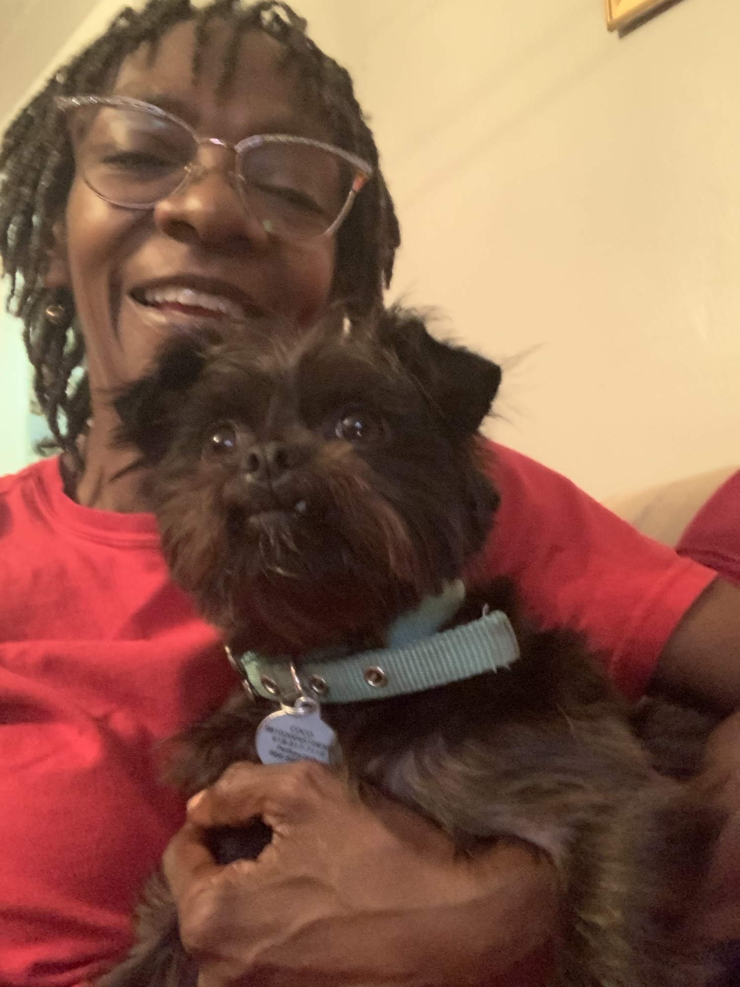 5As-Alton Area Animal Aid Association Godfrey