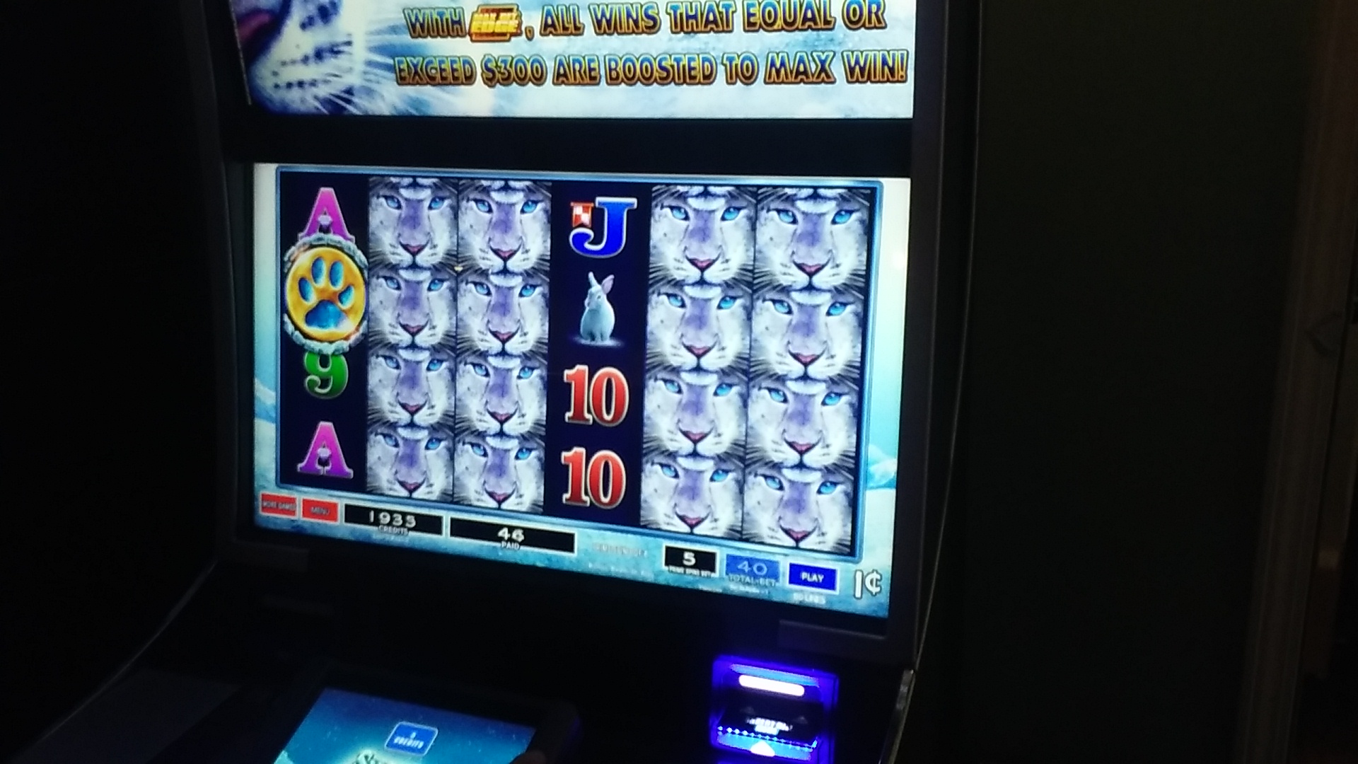 Shotzy's 4 Inc. Menu