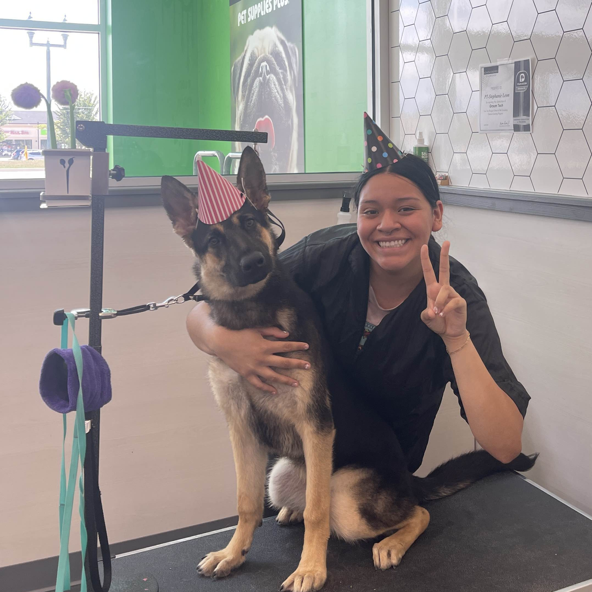 Pet Supplies Plus Grayslake Grayslake