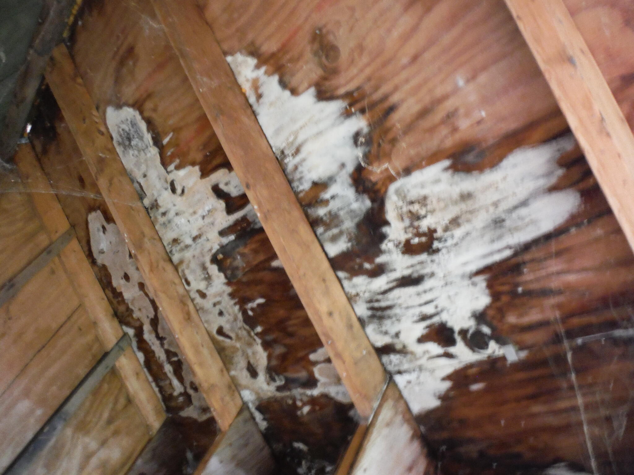 911 Home Inspection Services, LLC