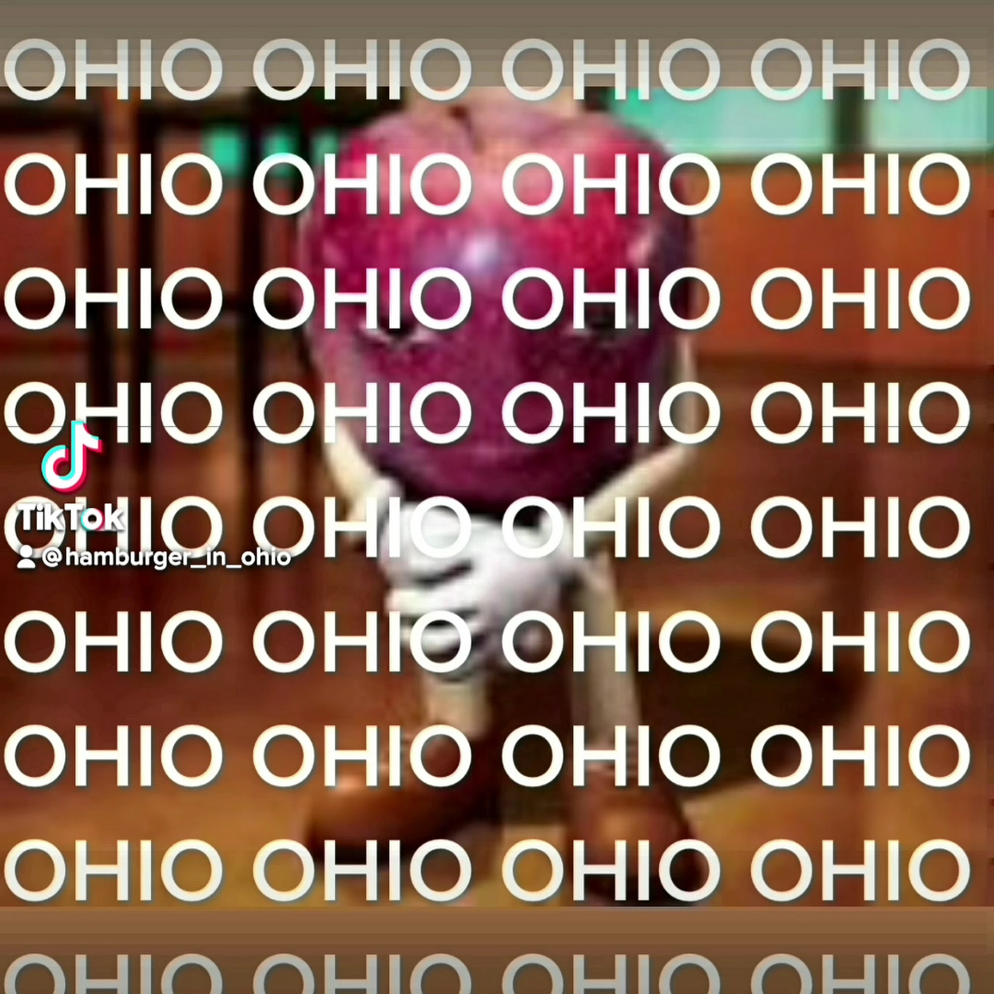 Hampshire Animal Hospital Hampshire