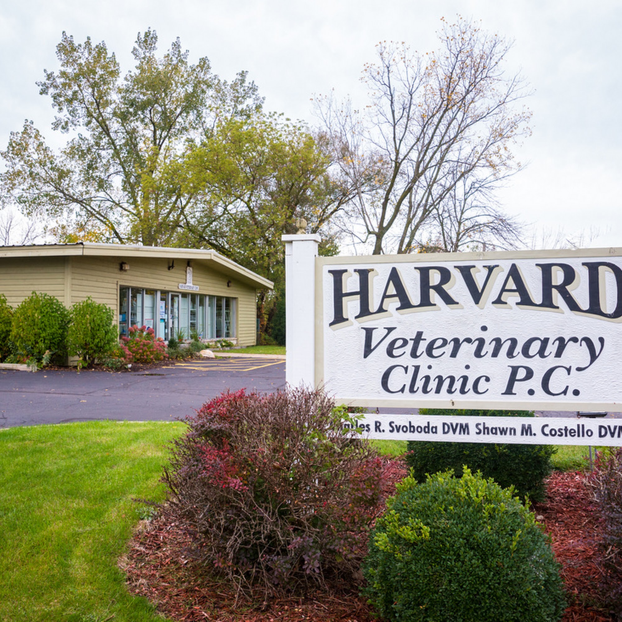 Harvard Veterinary Clinic Harvard