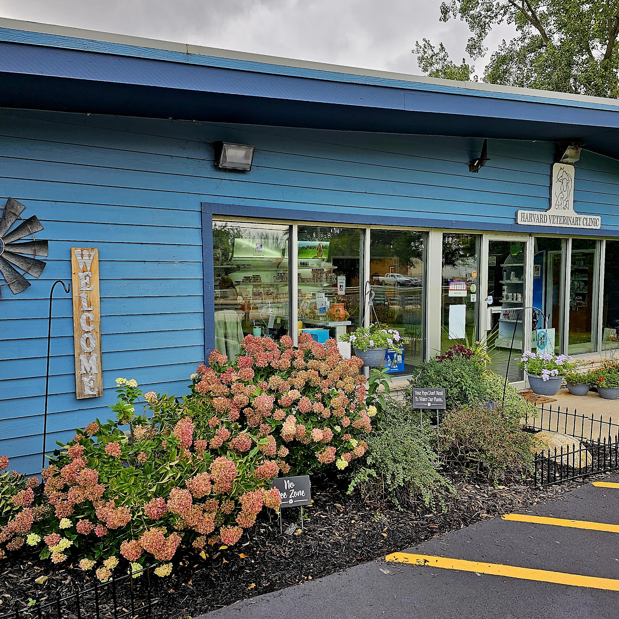 Costello Shawn M DVM Harvard