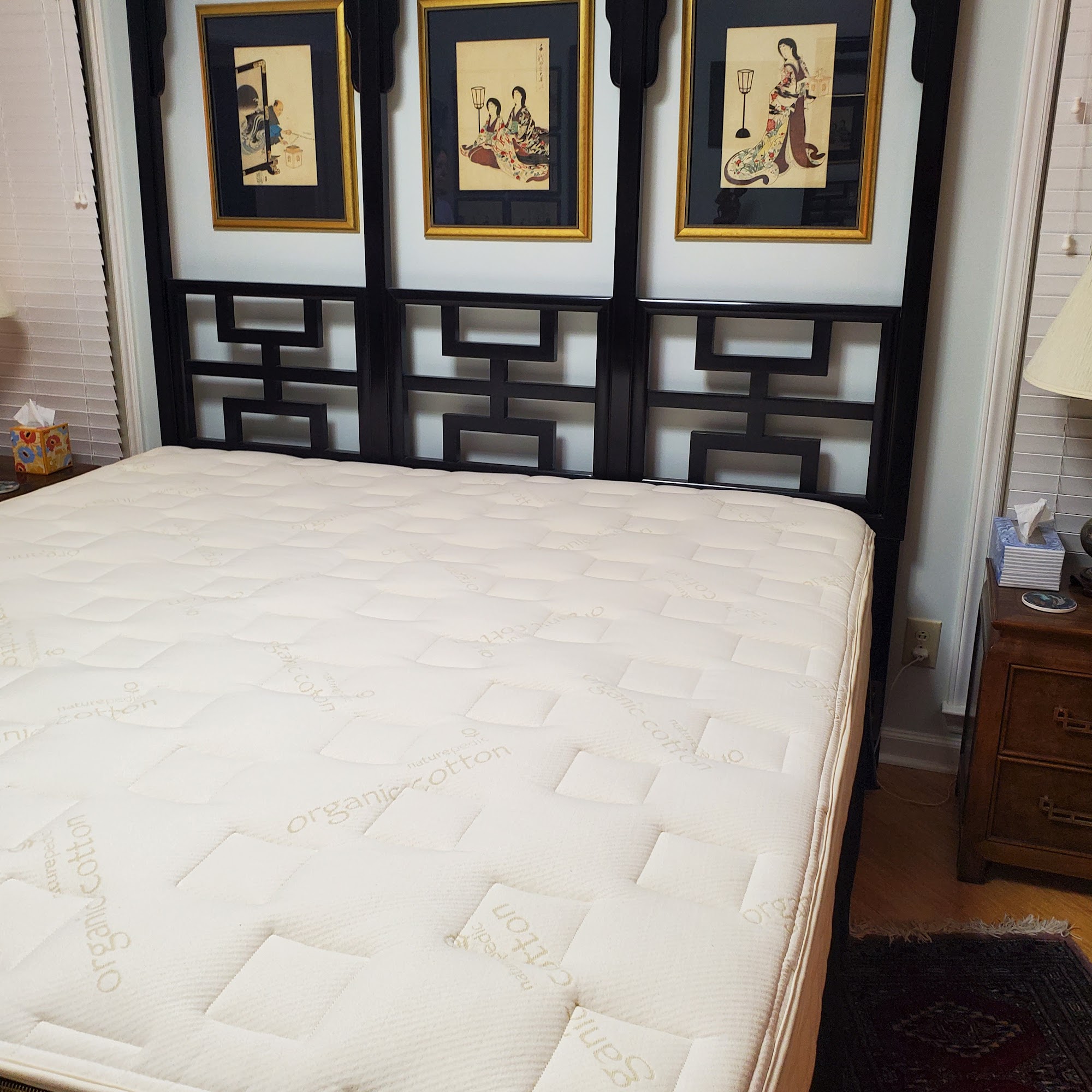 Naturepedic Organic Mattress Store Chicago Highland Park