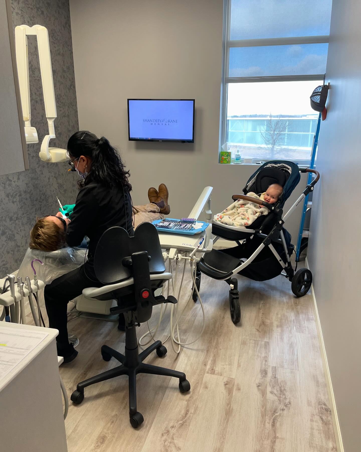 Shandley Kane Dental