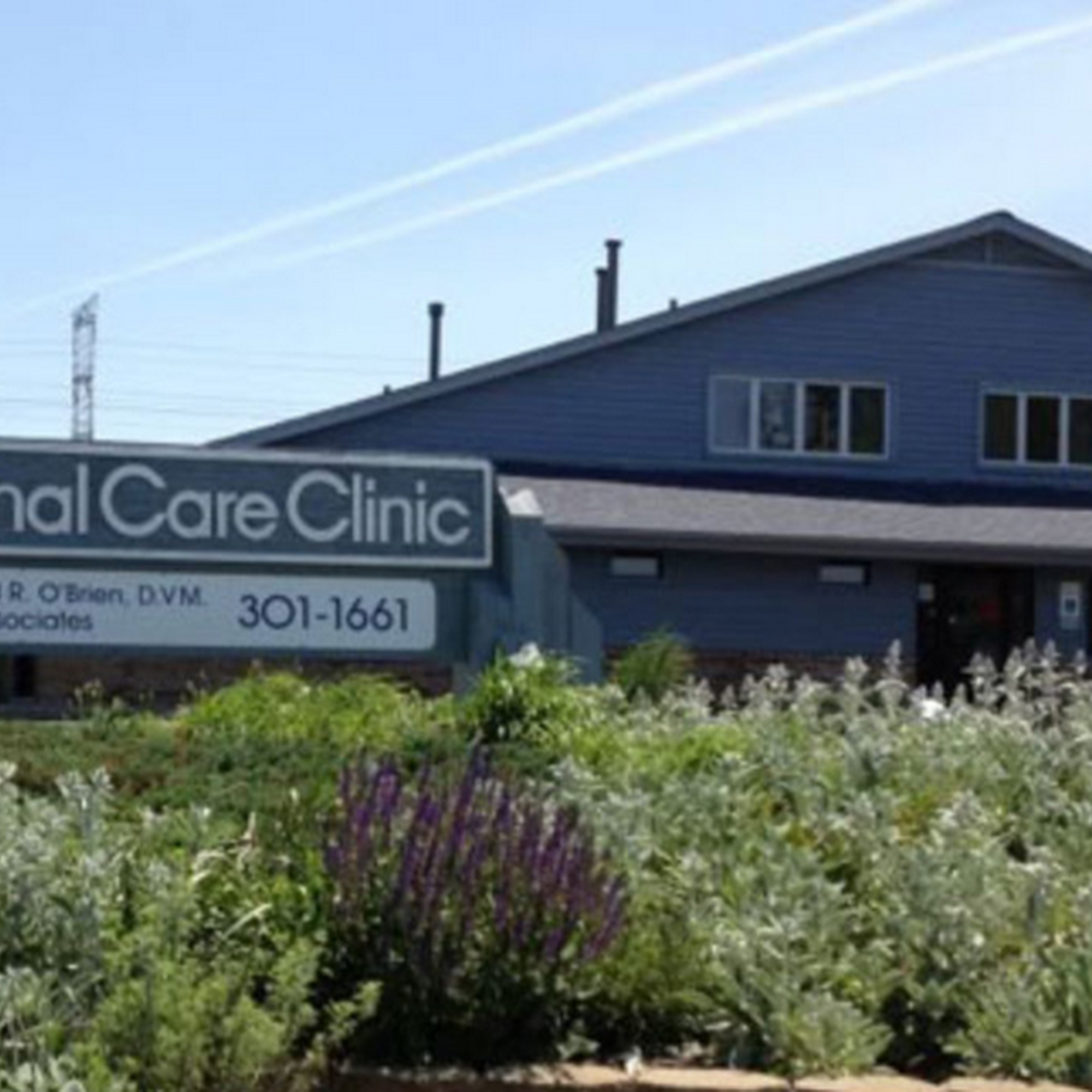 Animal Care Clinic of Homer Glen Homer Glen