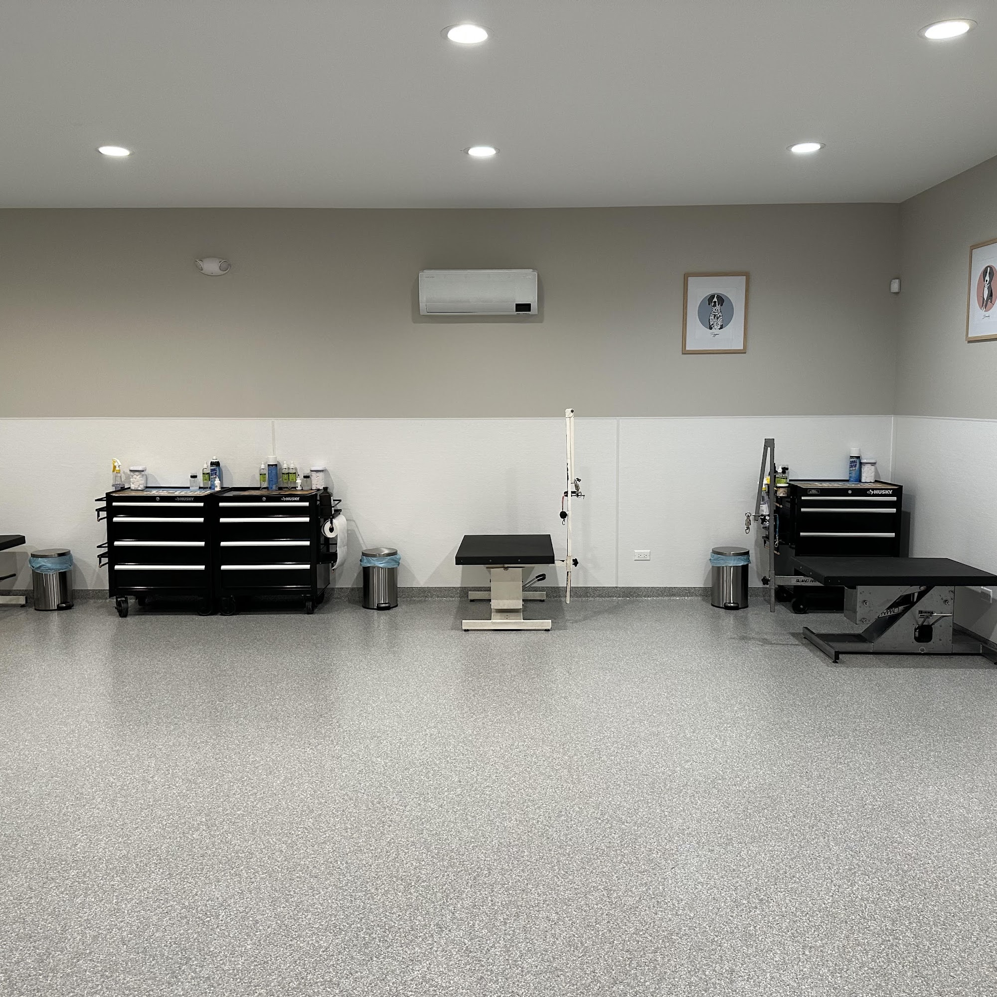 K-9 Couture Homer Glen