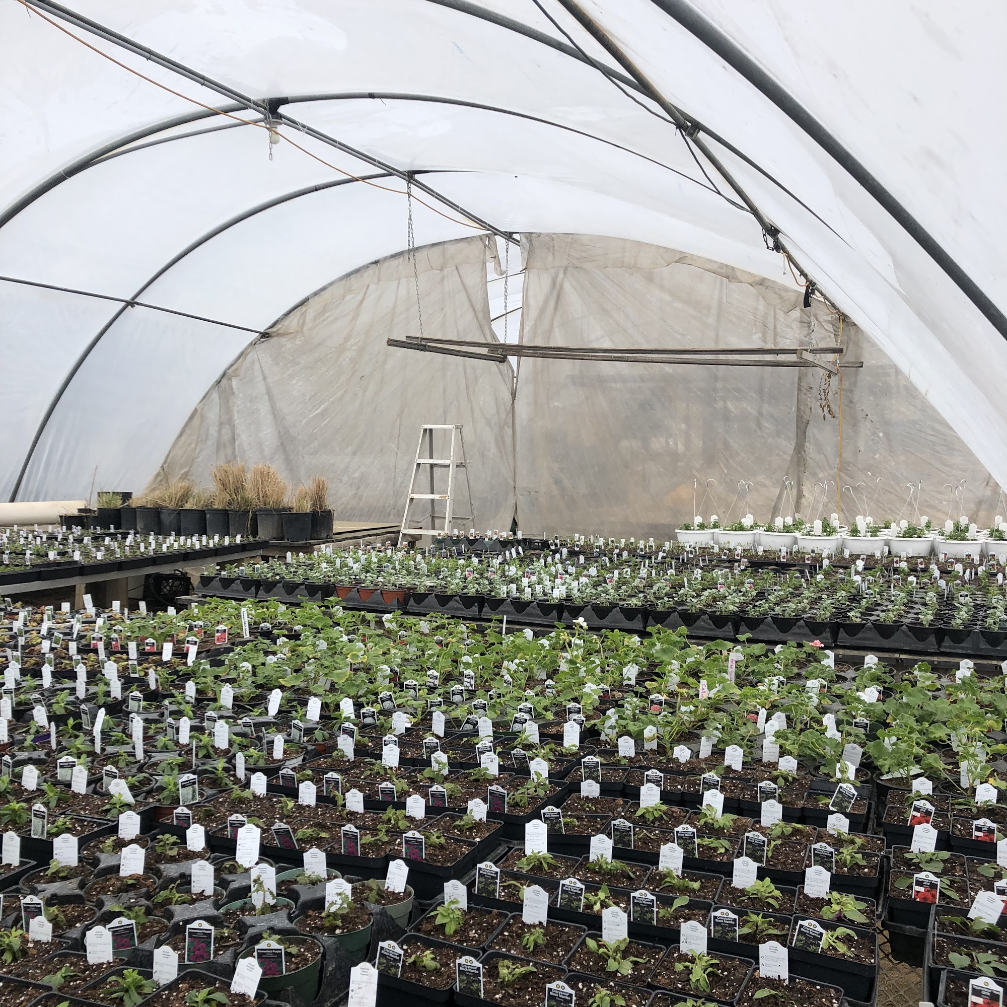 3:7 Garden Shed LLC Hopedale