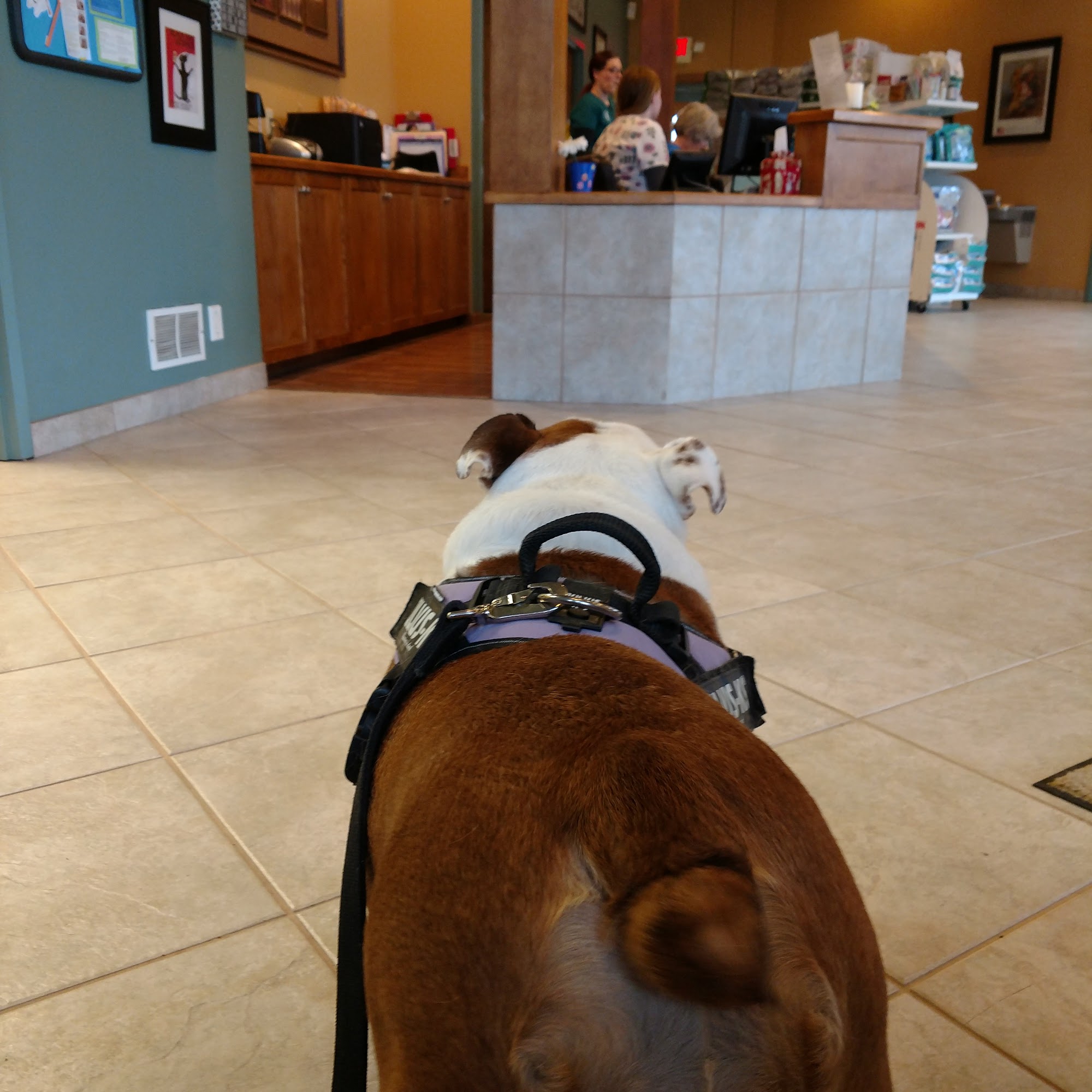 Huntley Veterinary Hospital Huntley