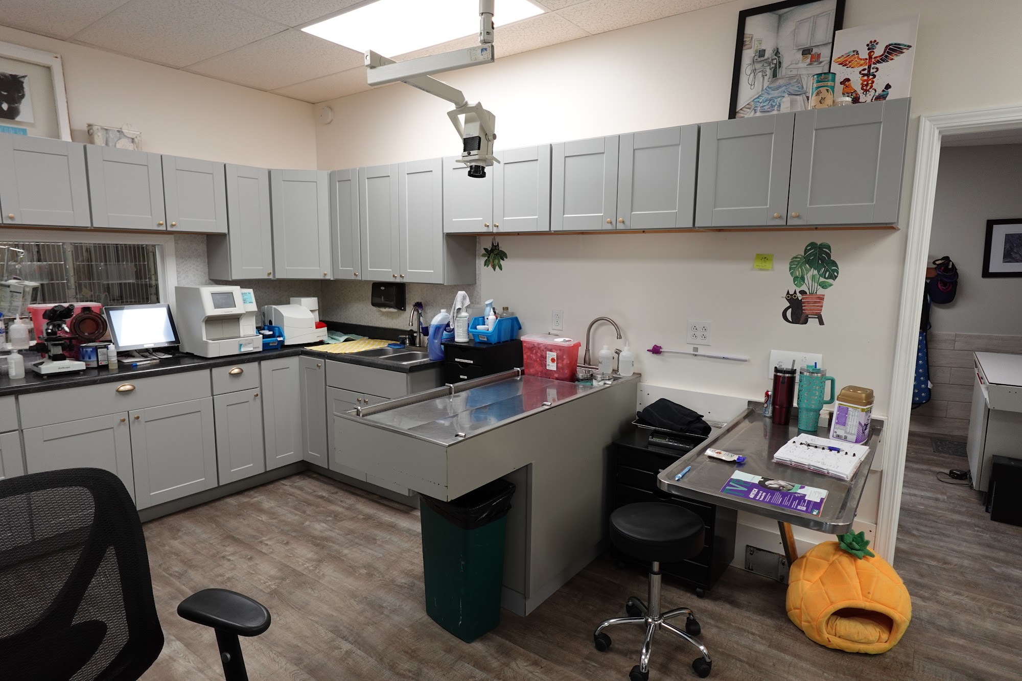 Hometown Veterinary Clinic of Jacksonville Jacksonville