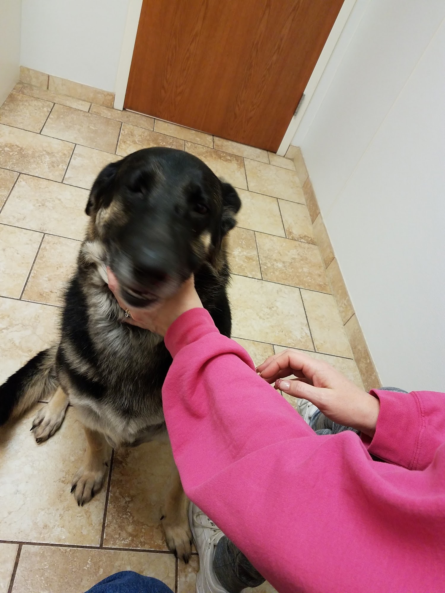 VCA County West Animal Hospital Kankakee