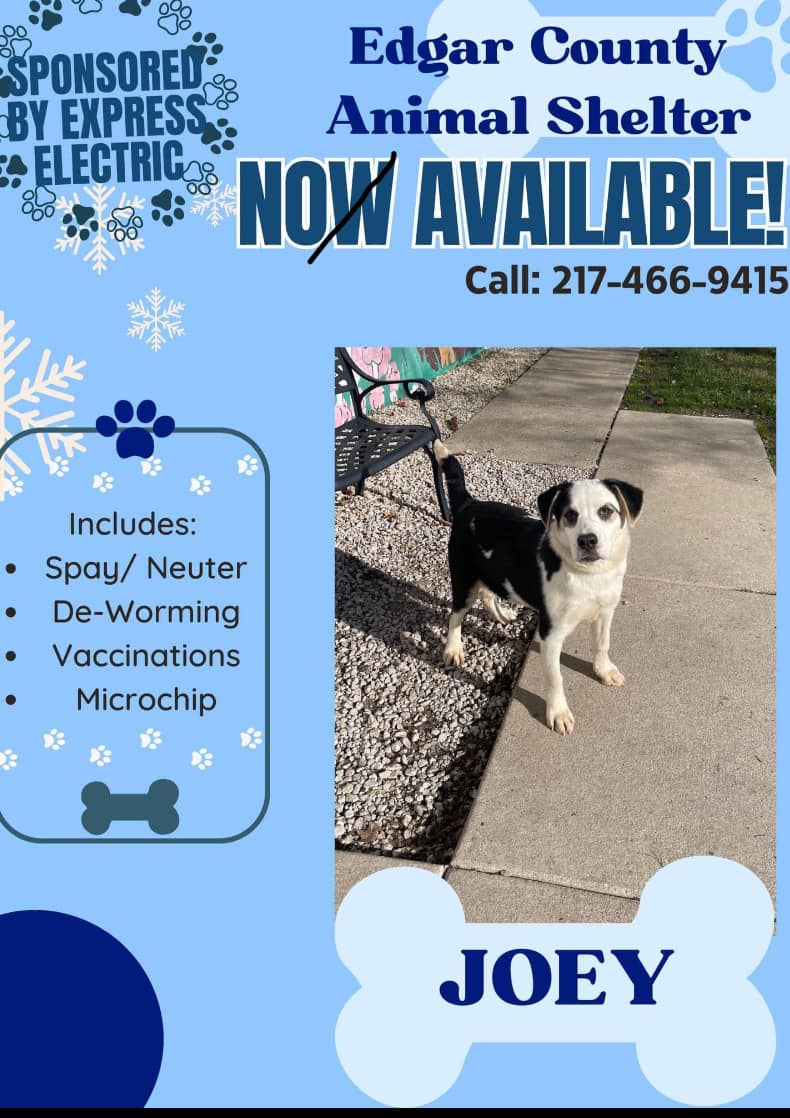 Express Electric Service