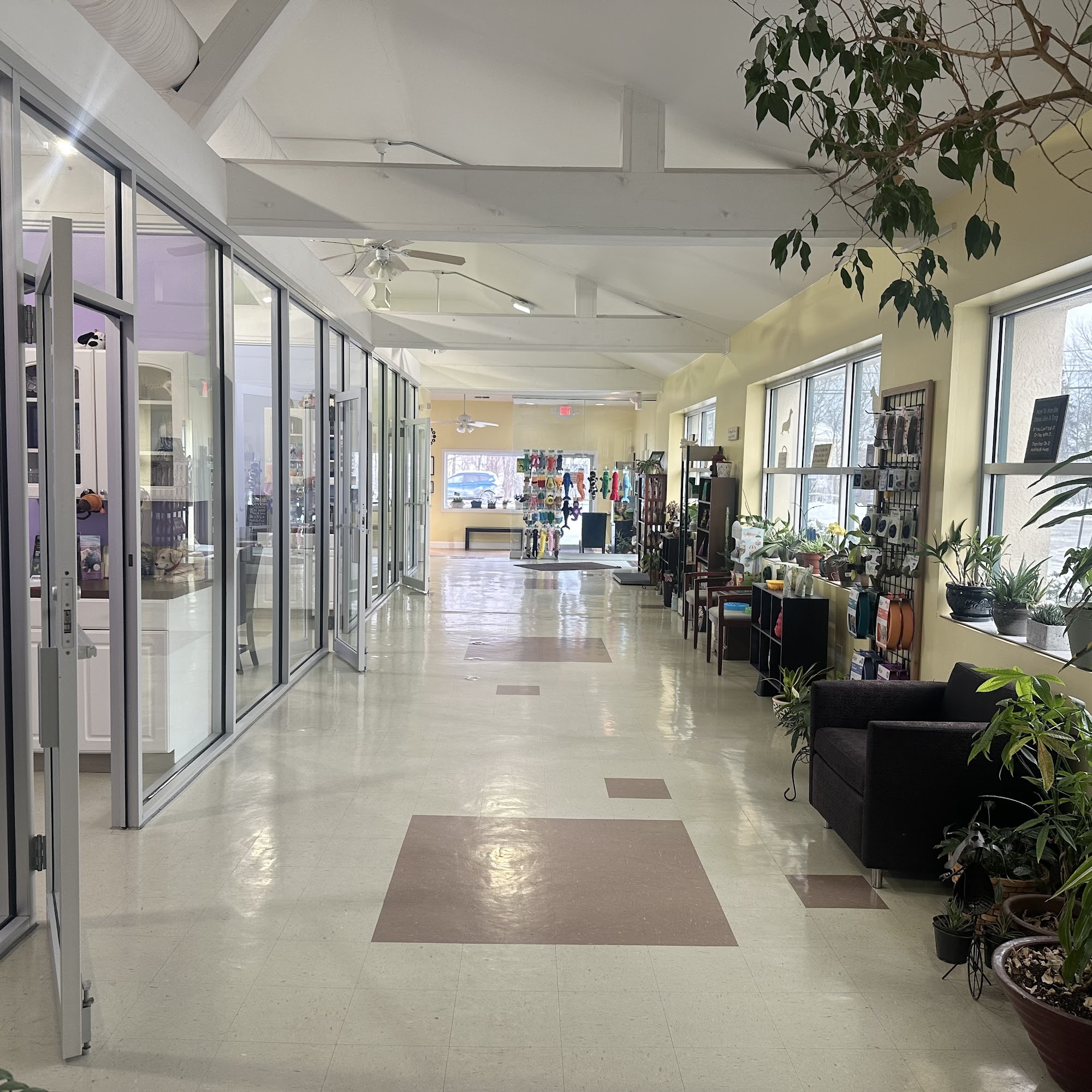 Canine Center Lake Villa