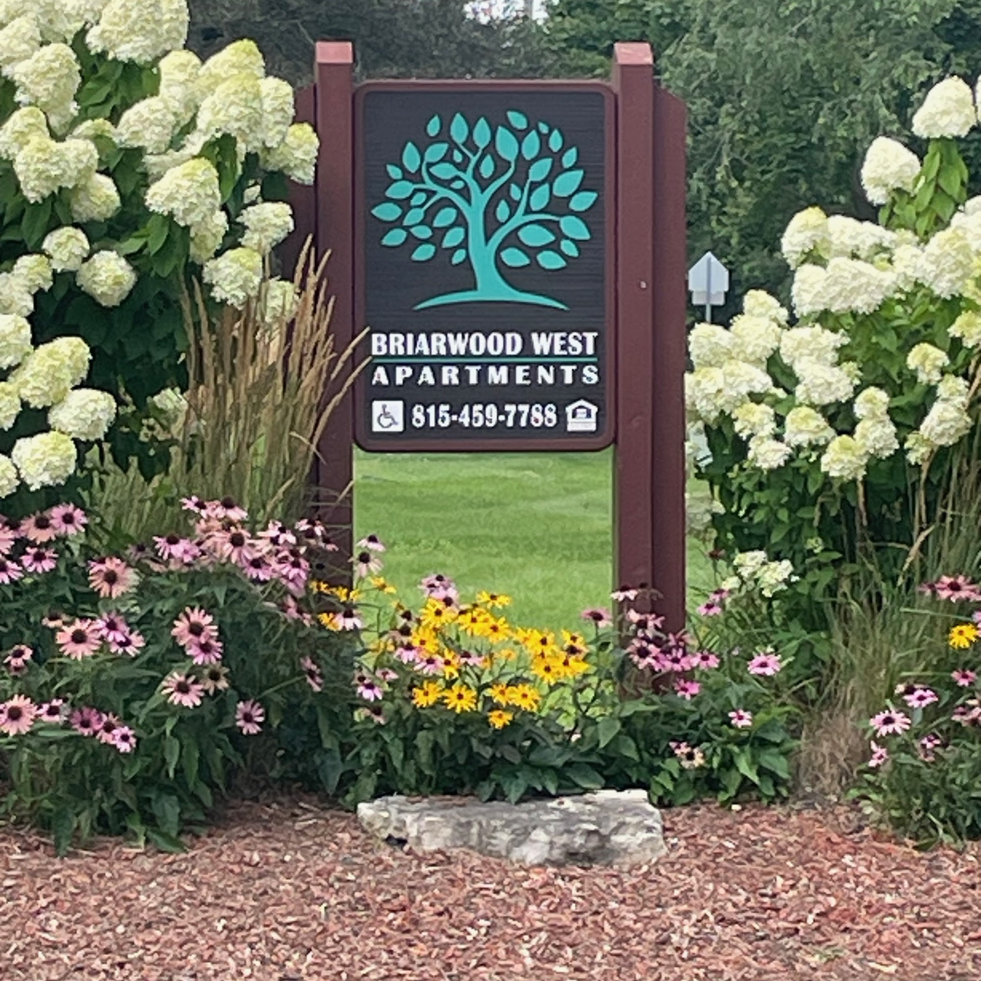 Signs By Fry Lakemoor