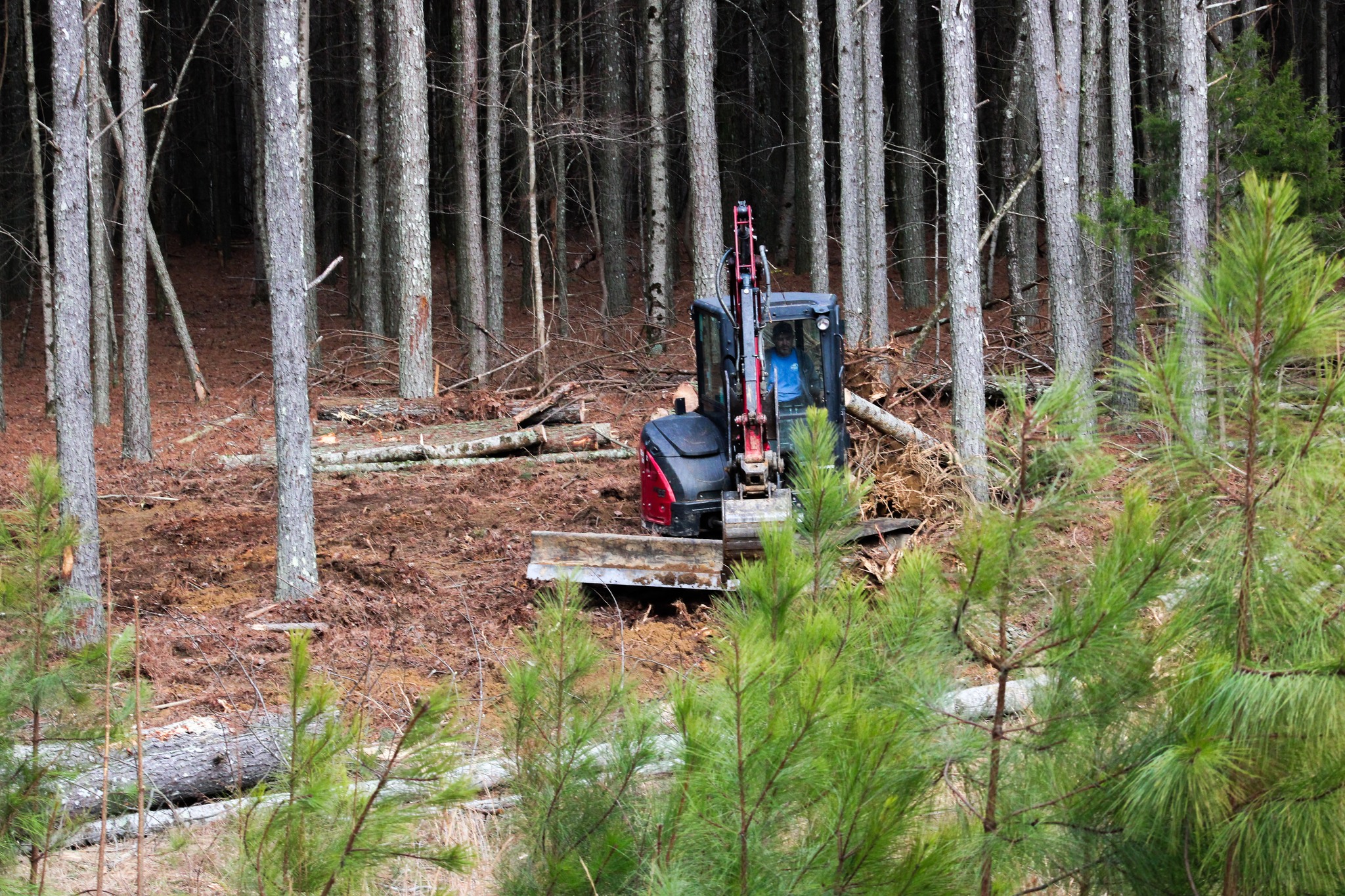 Circle T Construction