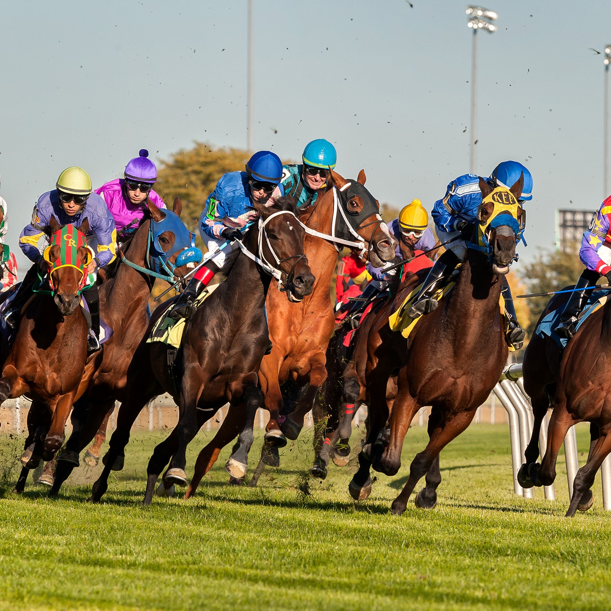 Black Eyed Susan 17030 Torrence Ave Unit G, Lansing, IL 60438