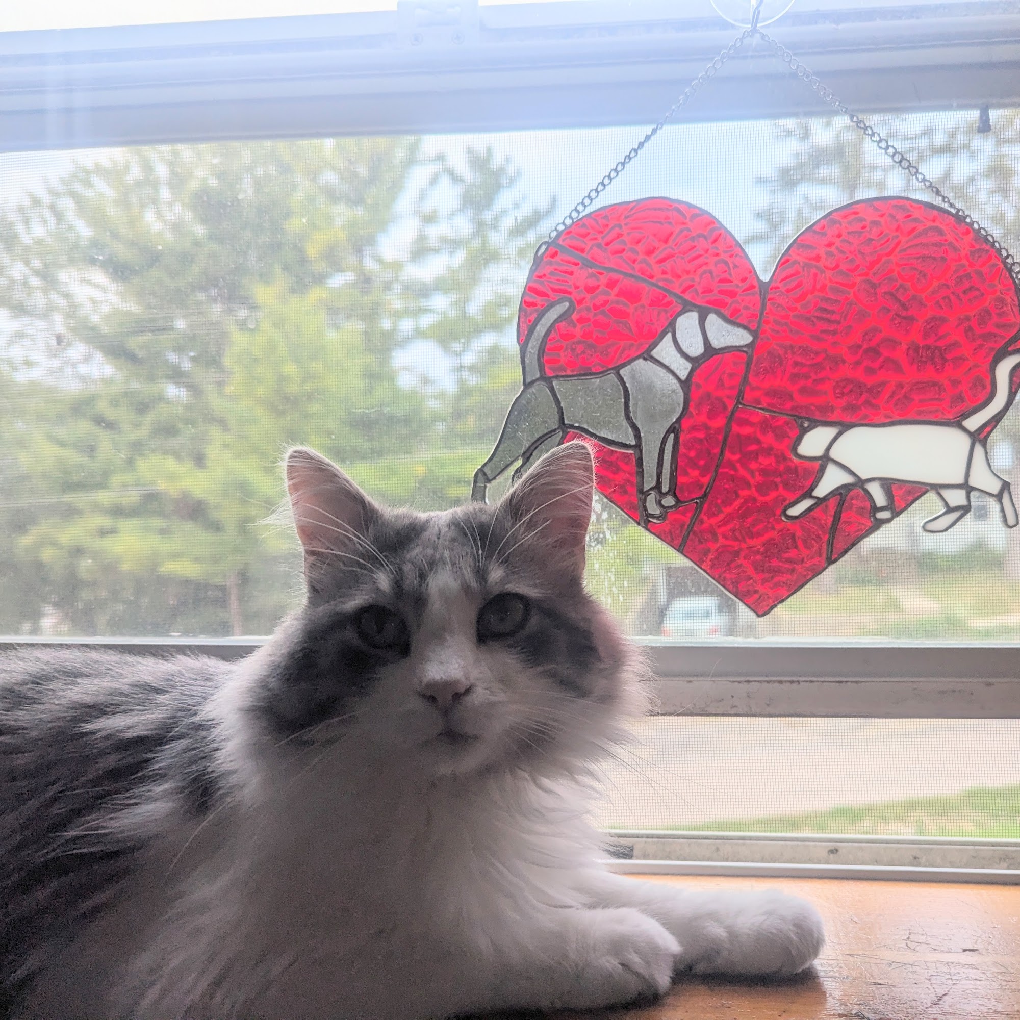 Lena Veterinary Clinic Lena