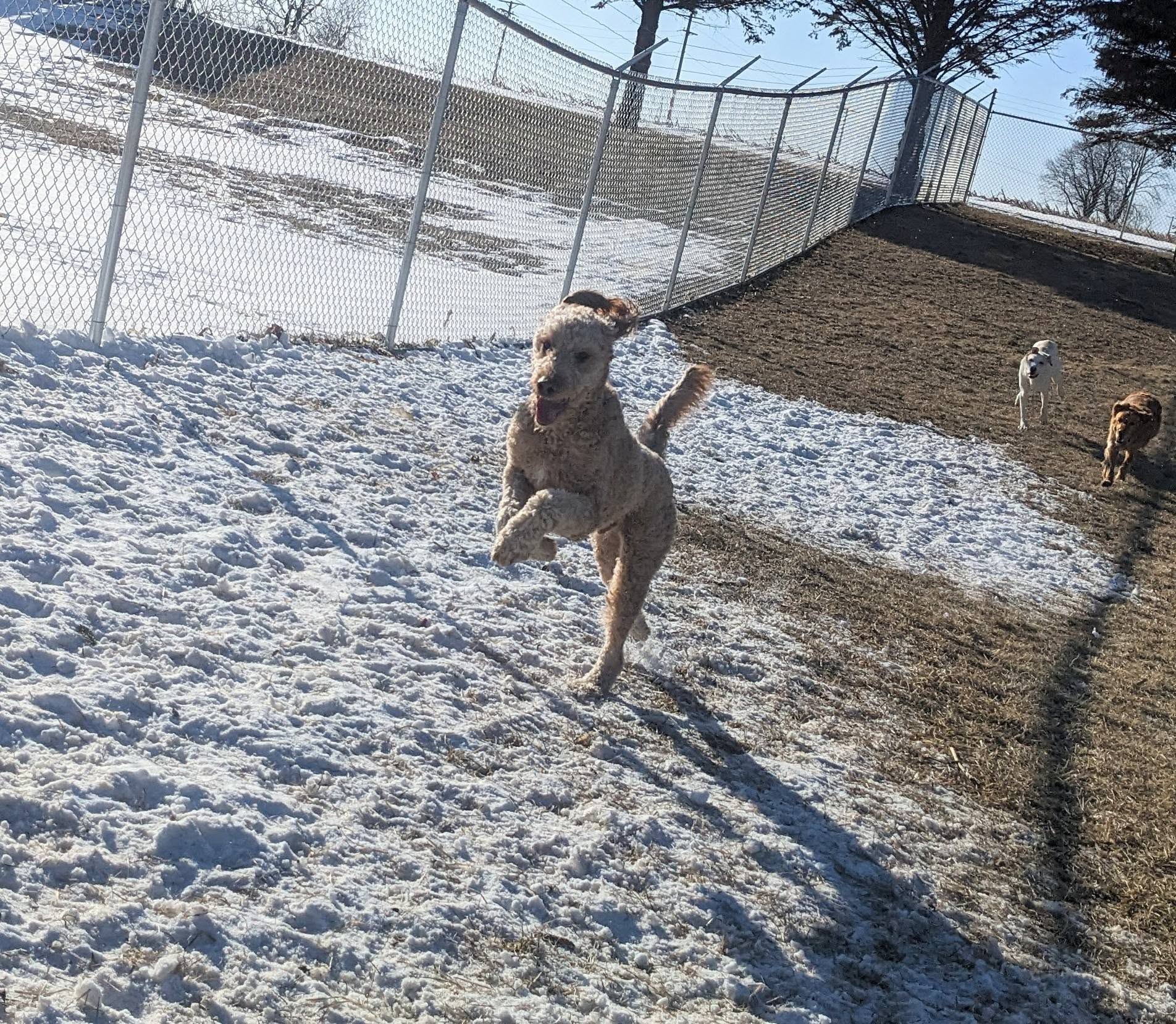 J & C’s Bed & Biscuit Lena