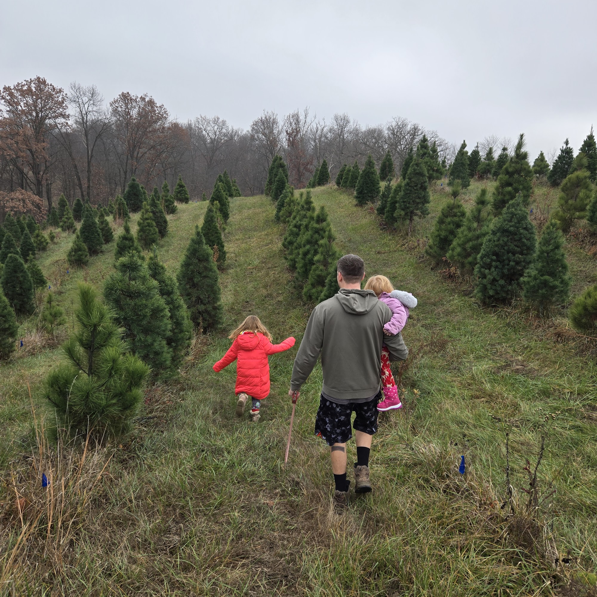 Mathews Christmas Trees Liberty