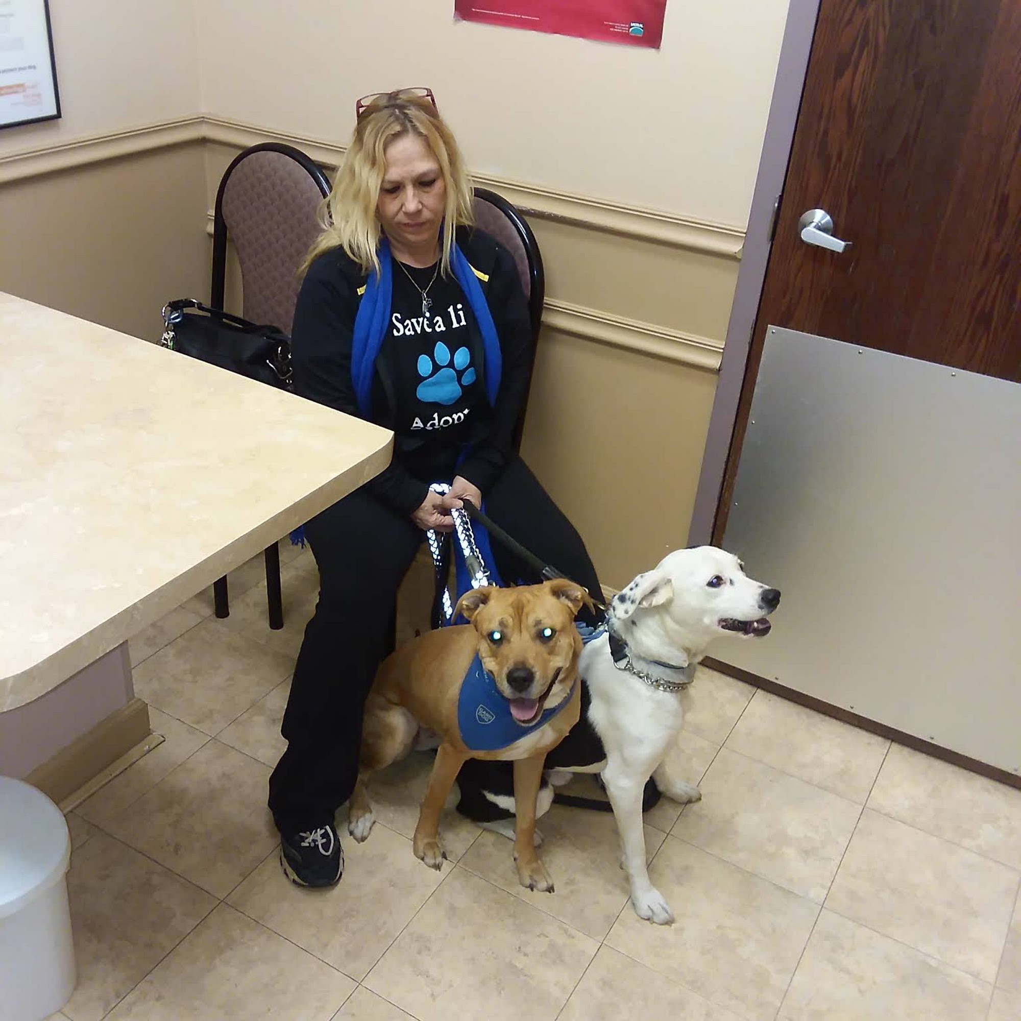 4 Paws Animal Hospital Libertyville
