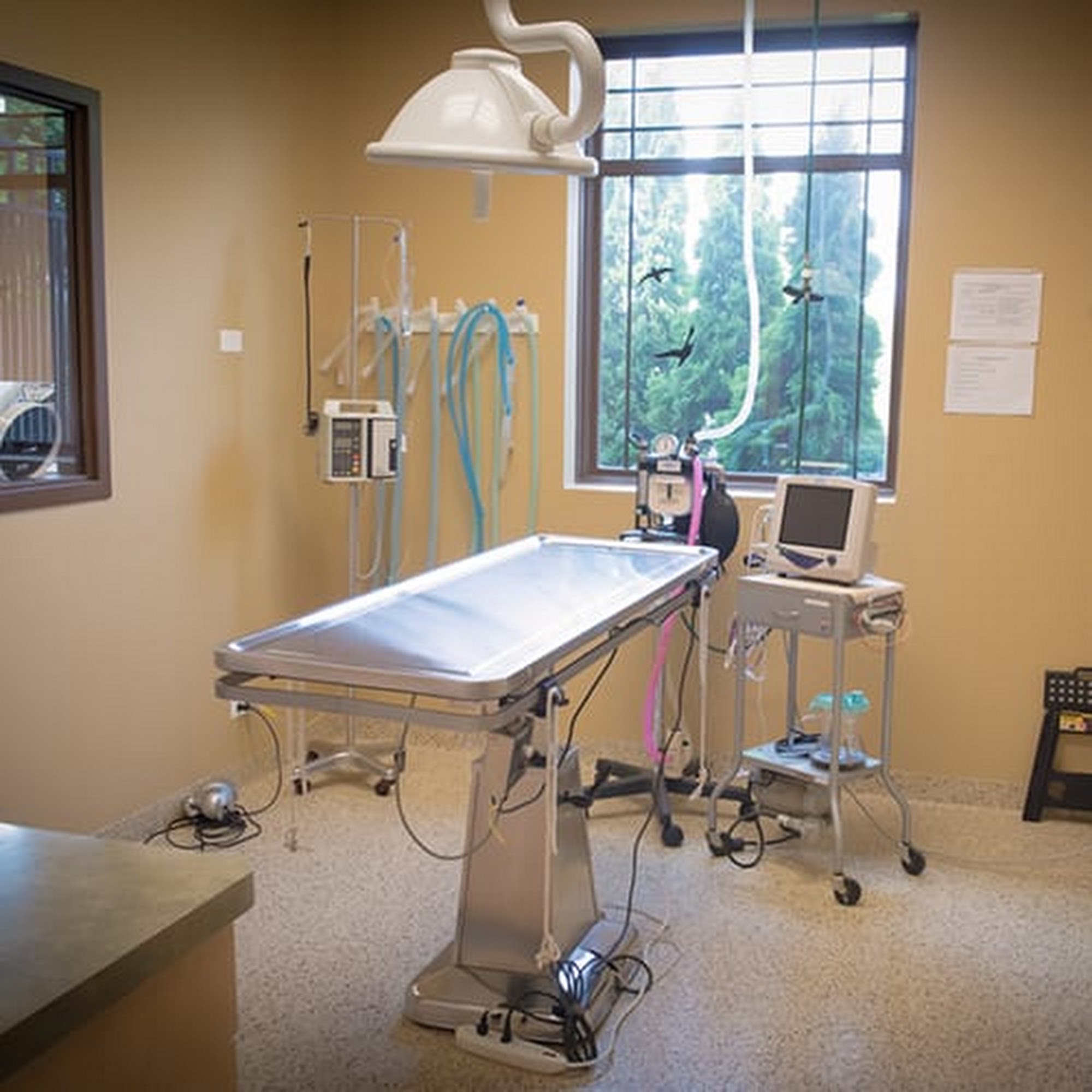 GreenTree Animal Hospital Libertyville