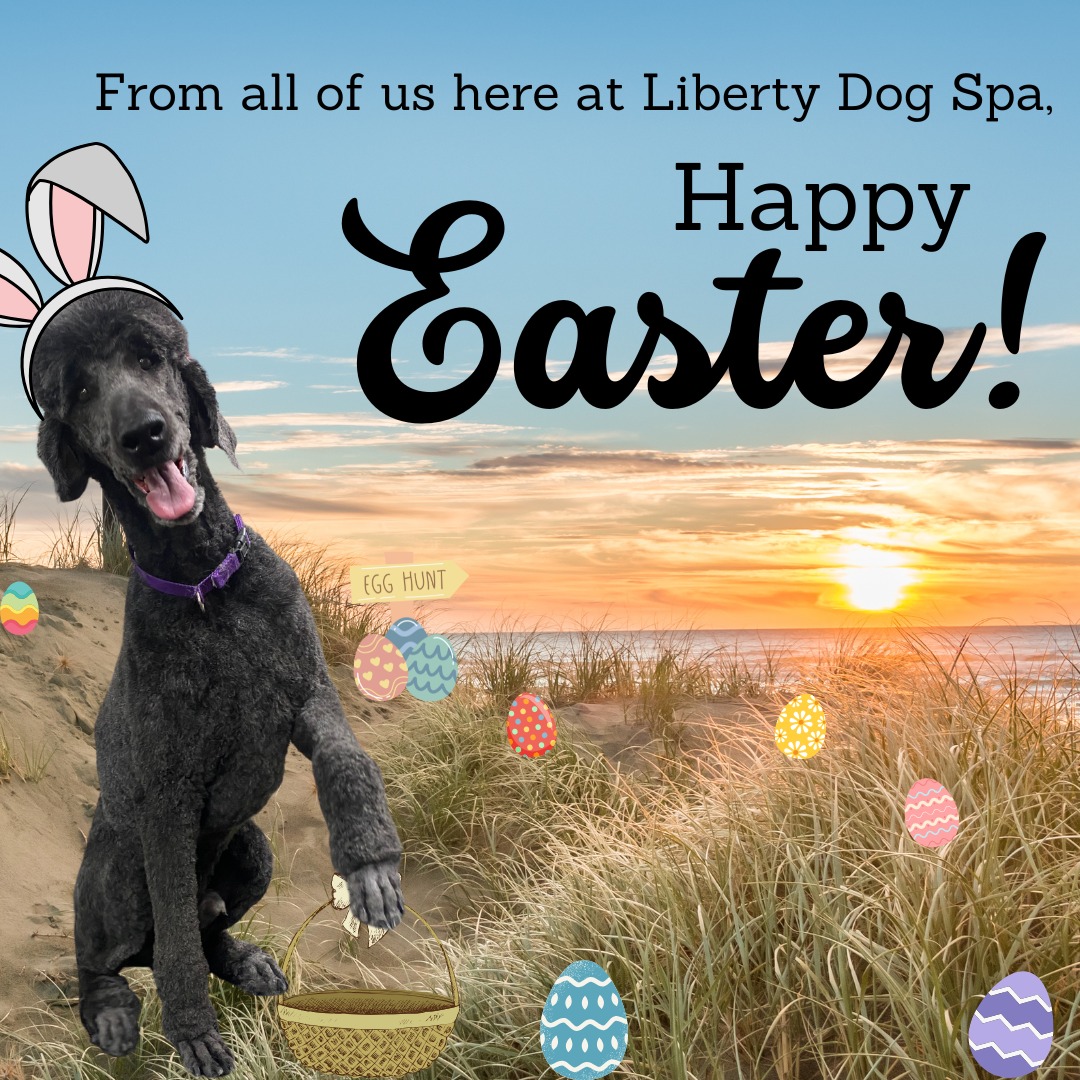 Liberty Dog Spa Libertyville